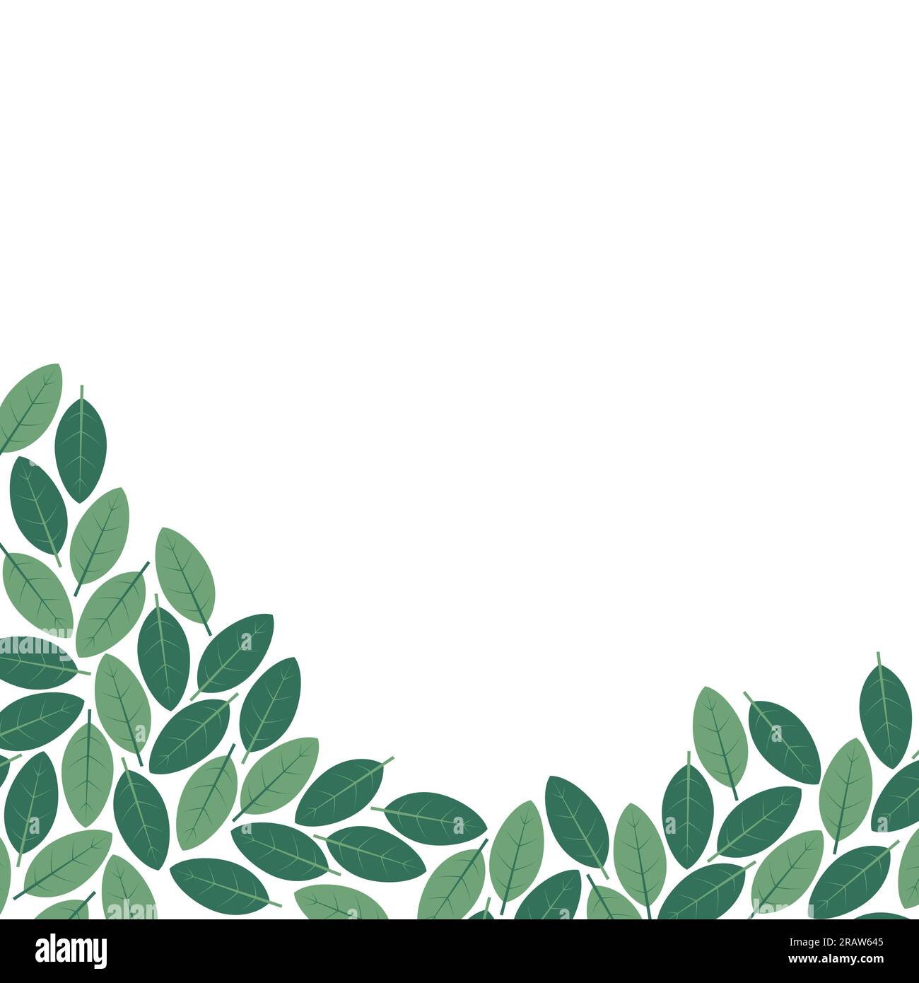 pattern of green leaves on white background with place for text- vector ...