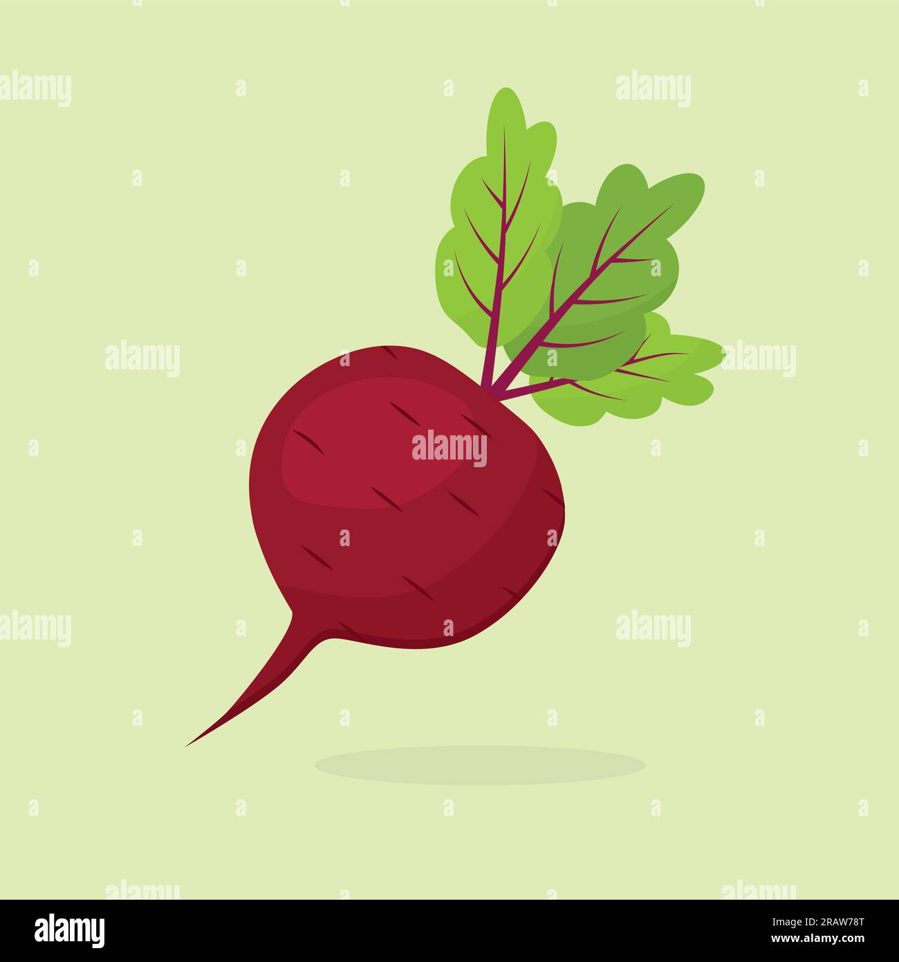 beetroot vegetable icon -vector illustration Stock Vector