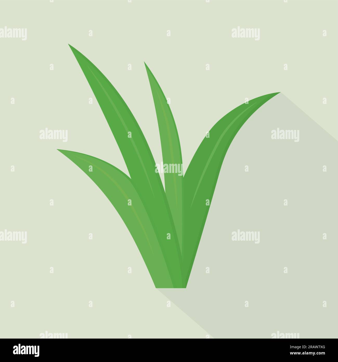 green plant, blades of grass vector illustration Stock Vector Image