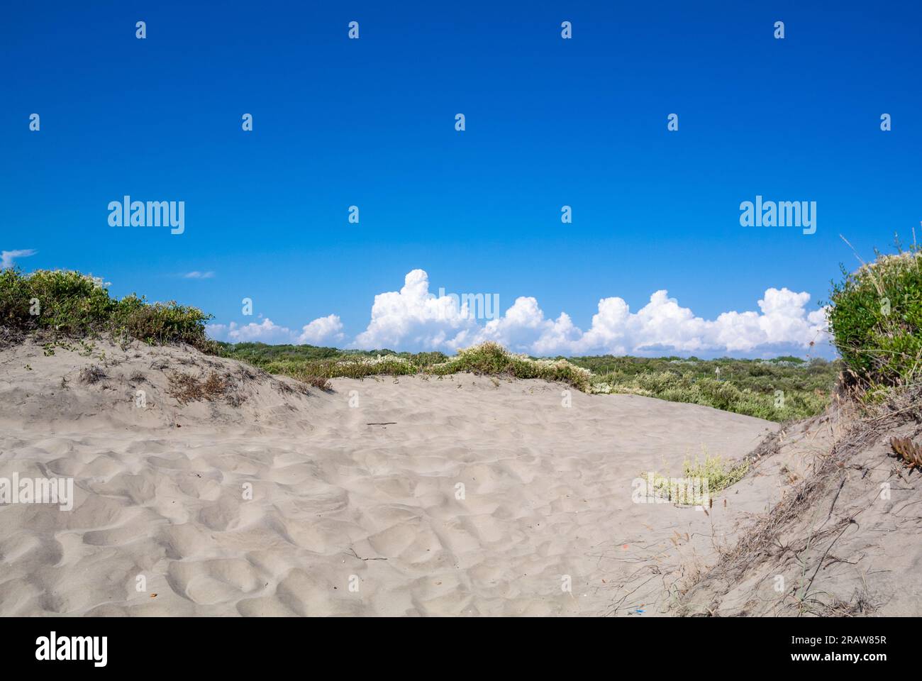 Rome, Lazio, Italy, A landscape of Ostia beach in Rome with fine sands. Stock Photo