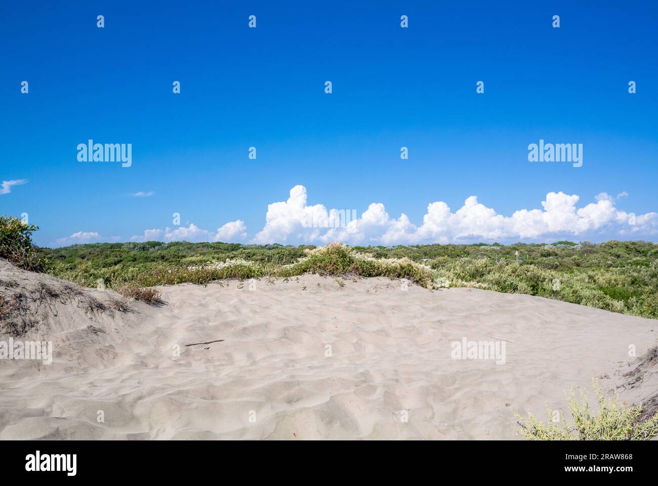 Rome, Lazio, Italy, A landscape of Ostia beach in Rome with fine sands. Stock Photo