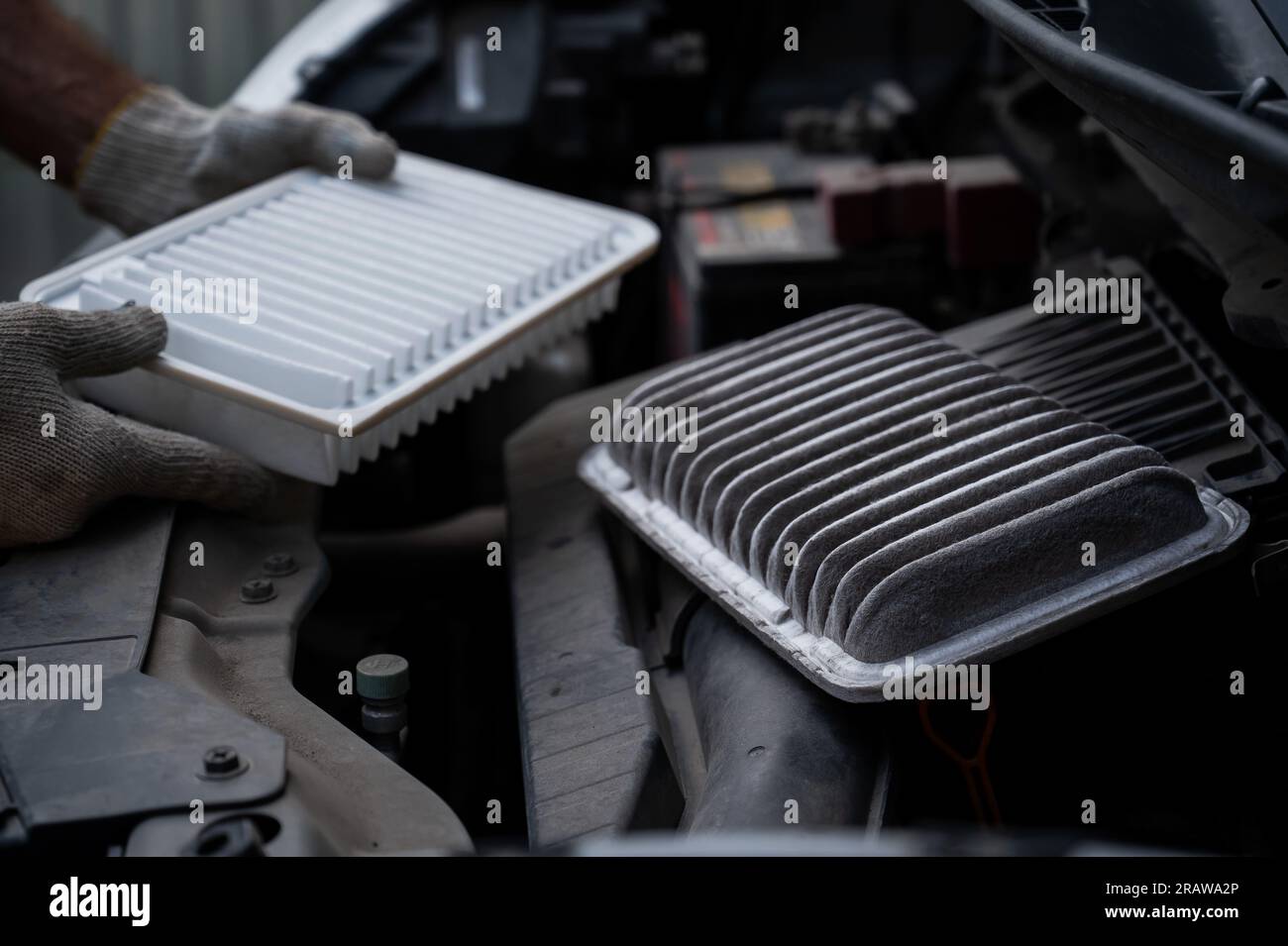 The master changes the air filter in the car engine Stock Photo Alamy