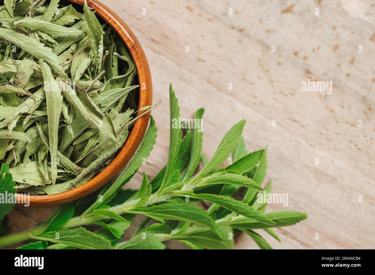 Stevia rebaudiana.Vegetable sweetener. Stevia extract.Stevia plant
