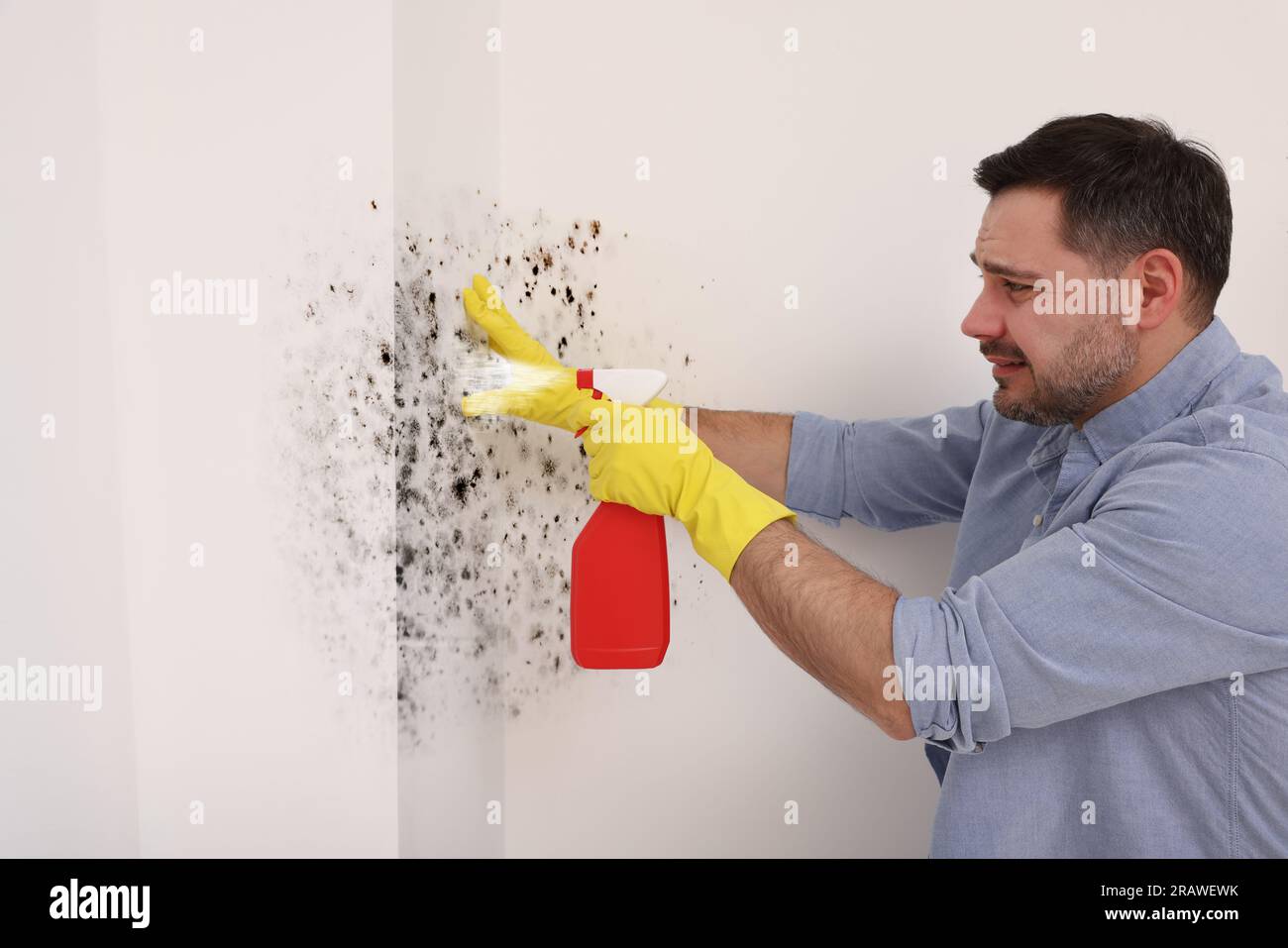 Man in rubber gloves spraying mold remover onto walls in room Stock