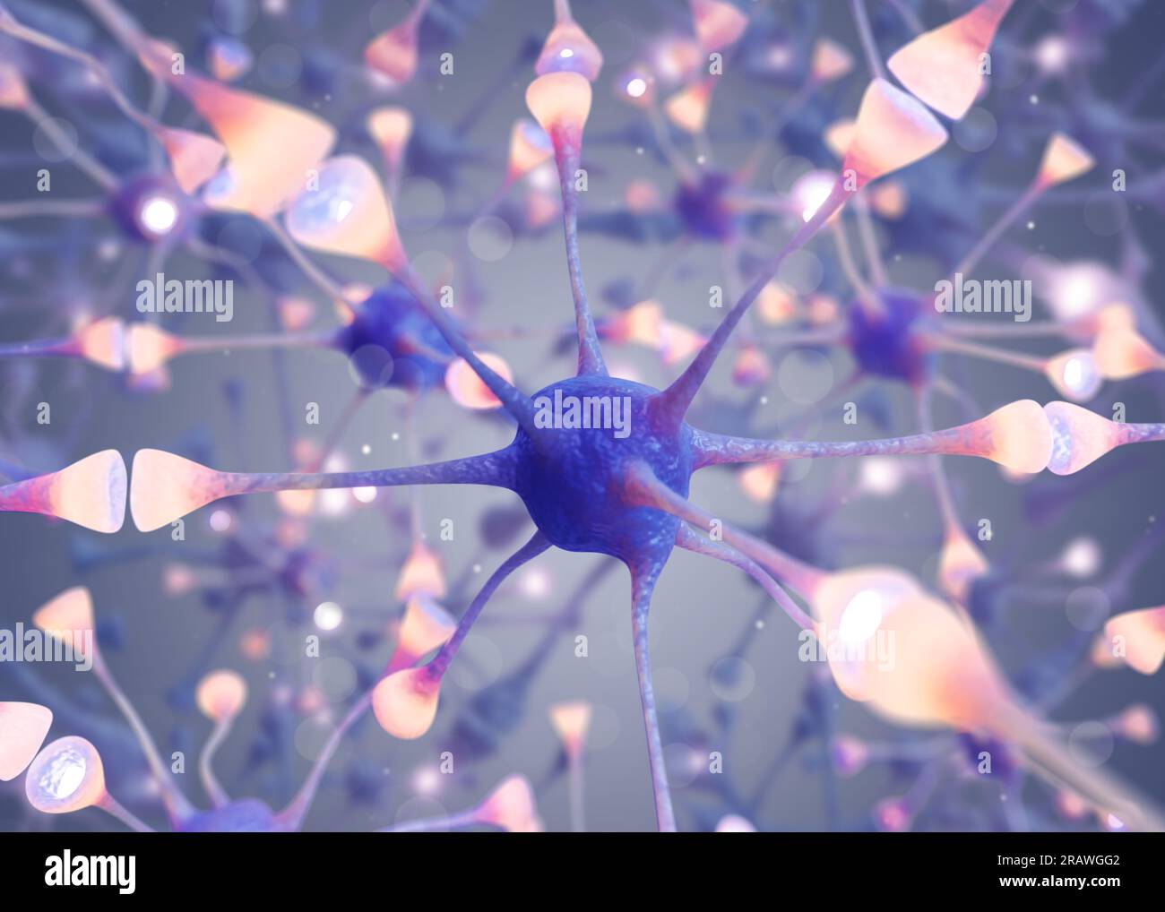 Neural network with synaptic connections on grey background, illustration Stock Photo