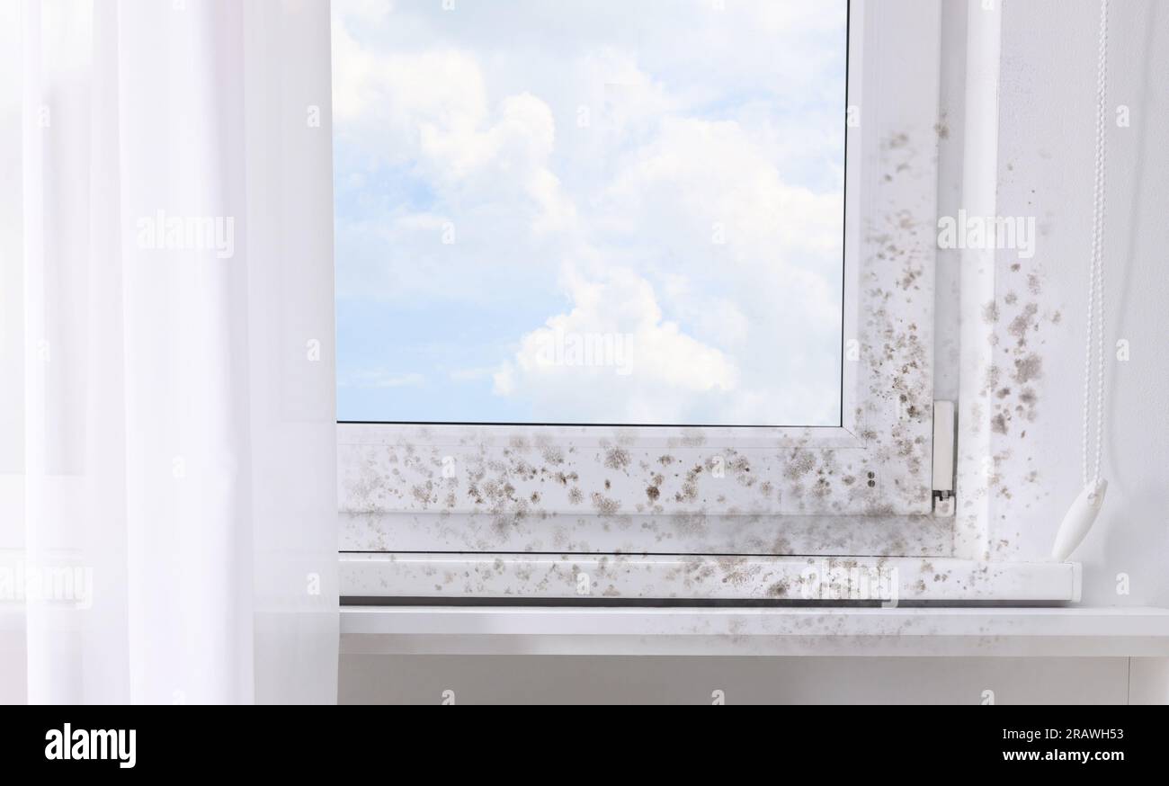 Window, sill and slope affected with mold in room Stock Photo Alamy