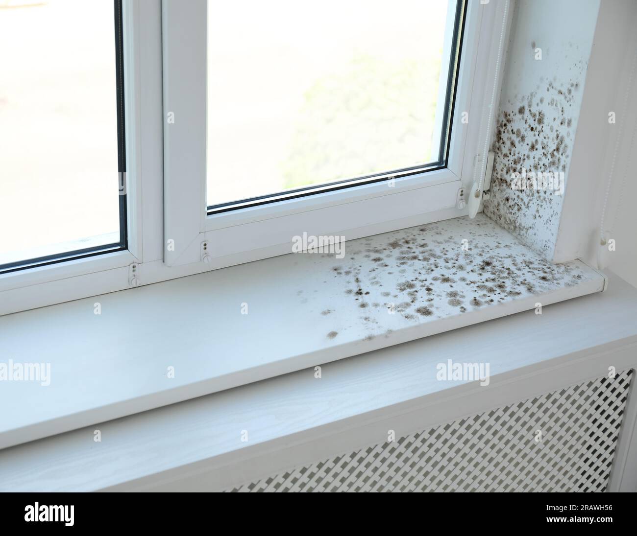 Window sill and slope affected with mold in room Stock Photo Alamy