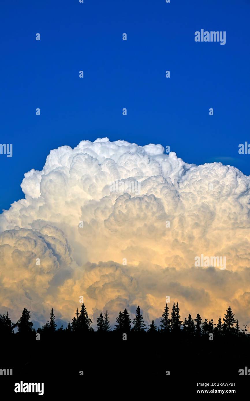 A blue evening sky filled with puffy white Thunder cloud in rural Alberta, Canada, Stock Photo