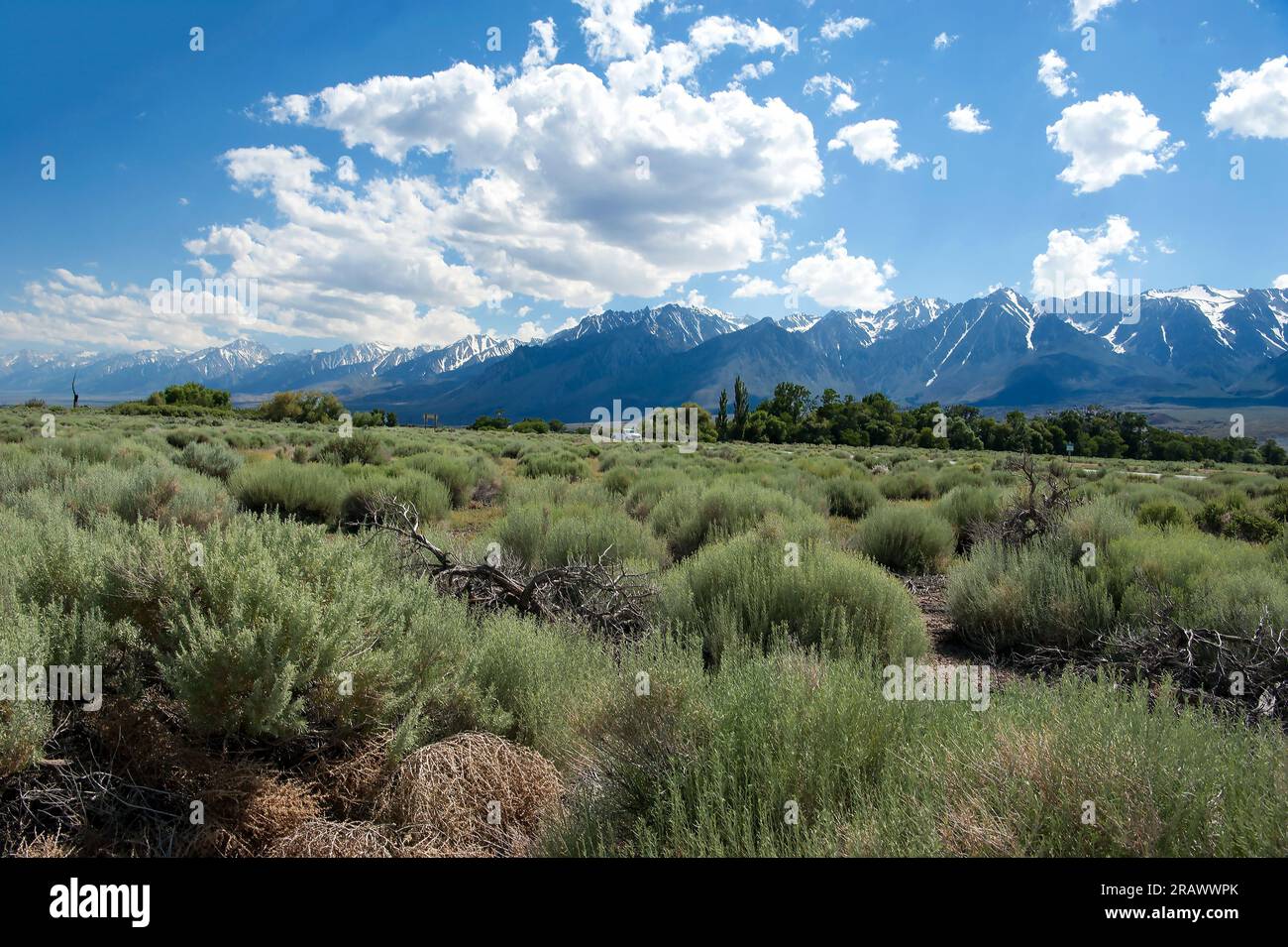 Road trip on scenic Route 395 along the Sierra Nevada Mountains towards Lake Tahoe in Northern California, USA. Stock Photo