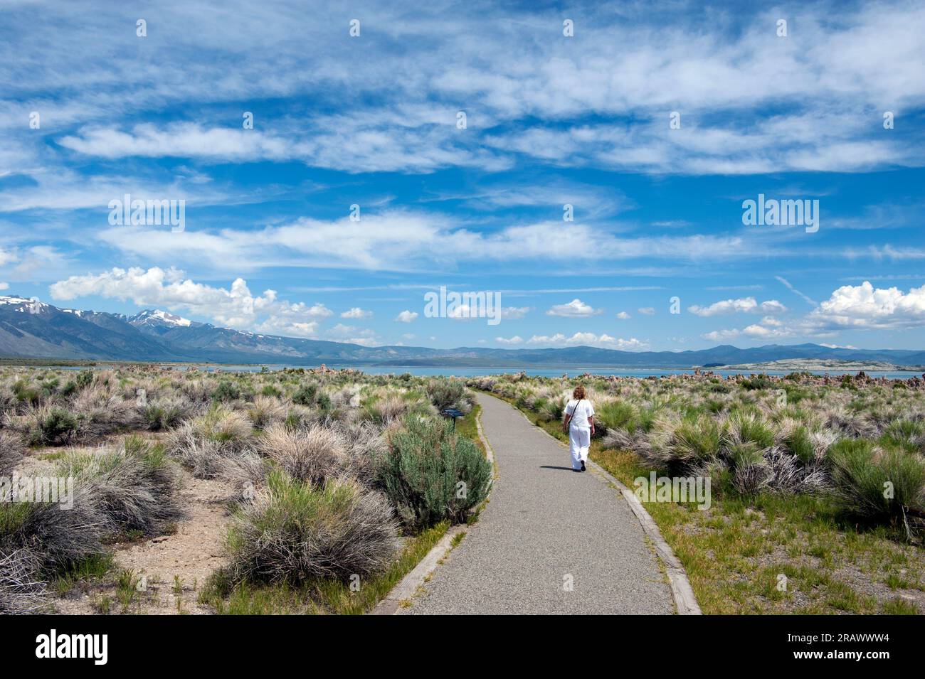 Pathway to Mono Lake, California Stock Photo