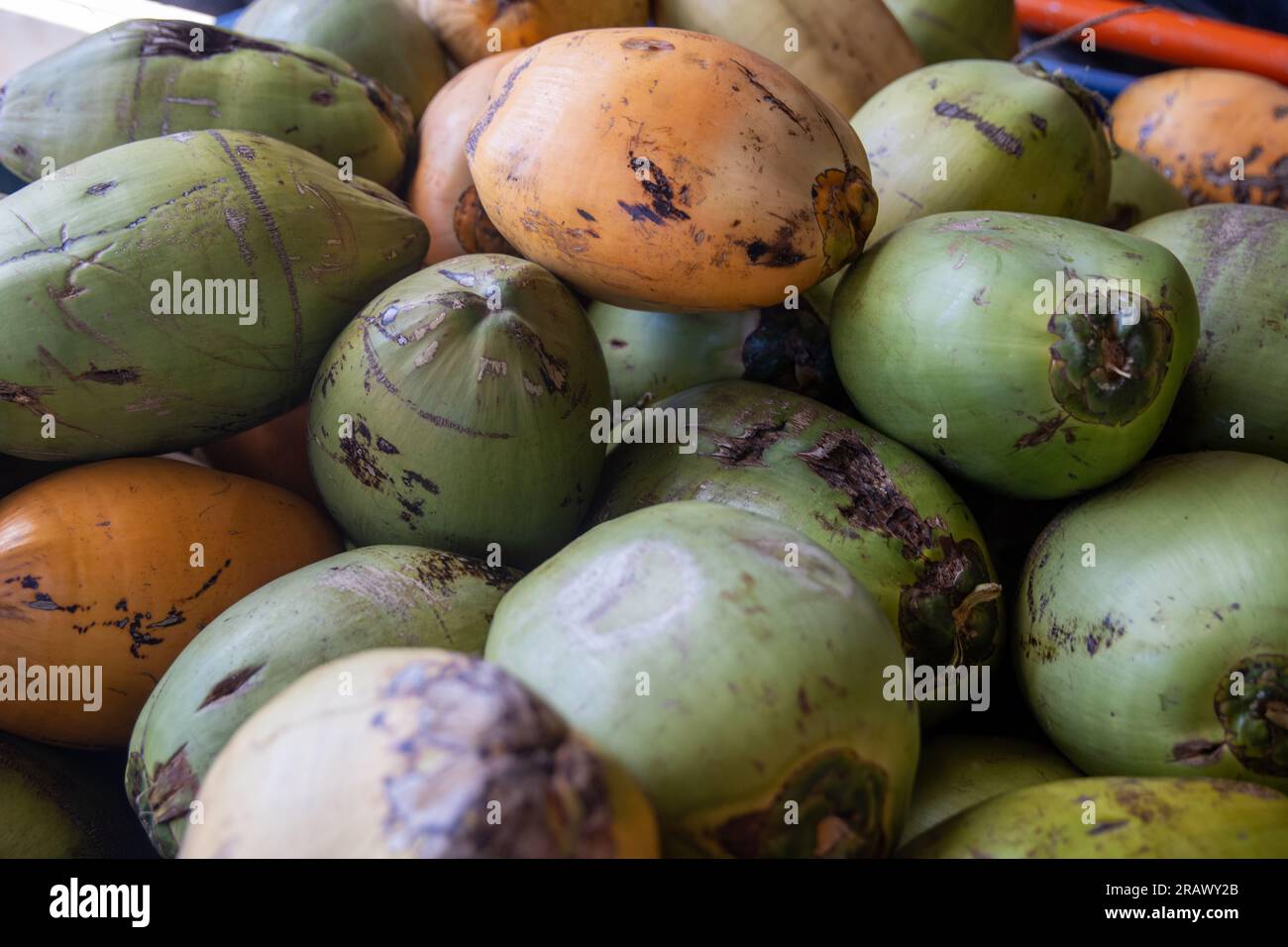 Organic coconuts hires stock photography and images Alamy