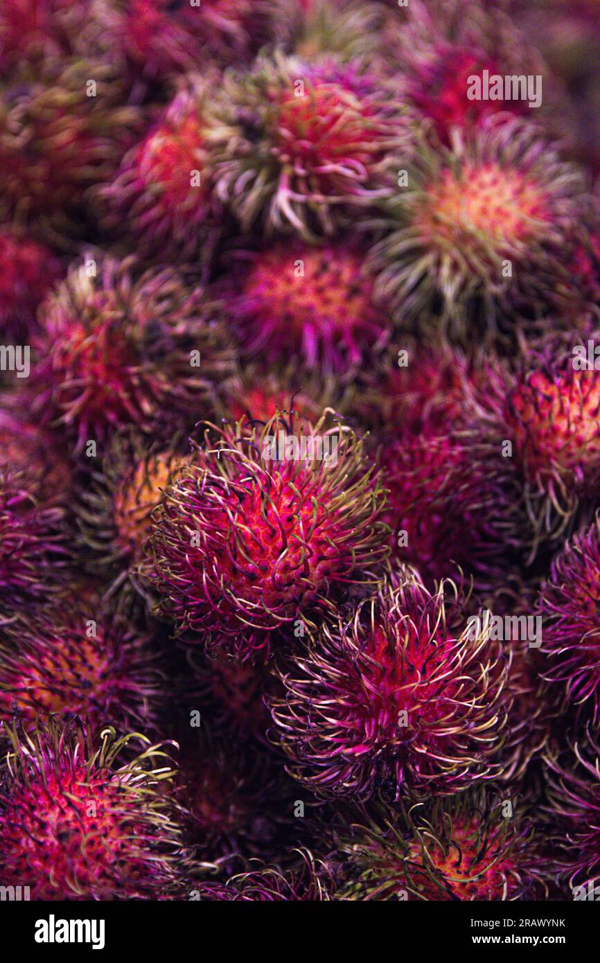 Indonesia rambutan fruit hi-res stock photography and images - Alamy