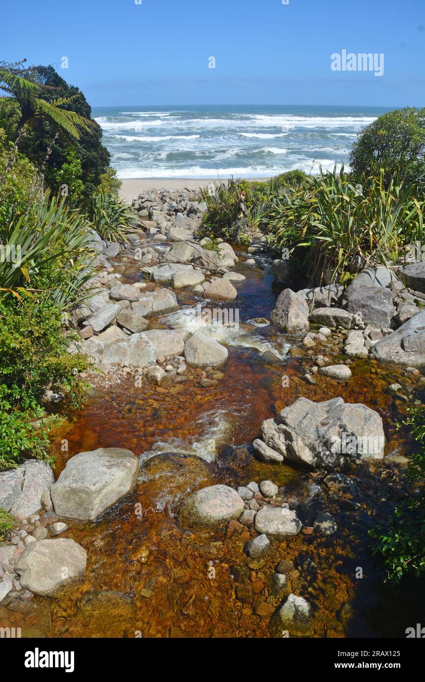 Brown Stream, caused by natural leaching of Nothofagus plants, at Scotts Beach, Heaphy Track, Karamea, New Zealand Stock Photo
