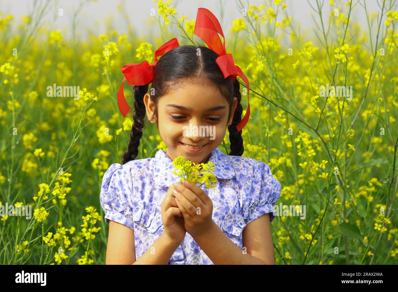 Happy rural Indian girl child standing in a beautiful mustard field filled with gorgeous yellow colored flowers Stock Photo