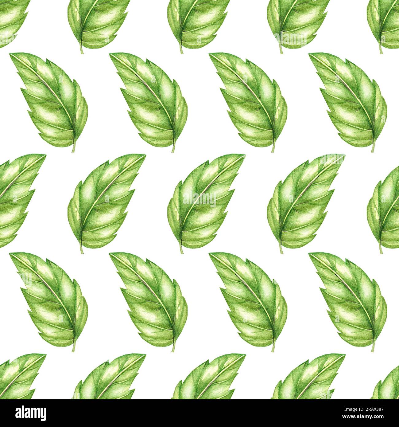 Pattern hibiscus leaves on a white background. Seamless floral patterns, hand drawn with watercolor elements for the design of textiles, fabrics, logo Stock Photo