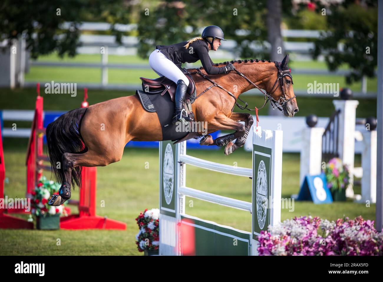 Jacqueline Steffens-Daly of Canada competes in the Rolex Pan American ...