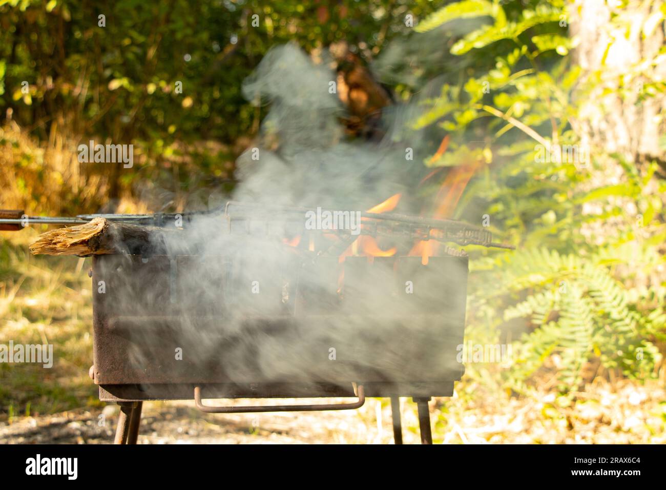 portable grill with firewood in the summer at a picnic in the forest in