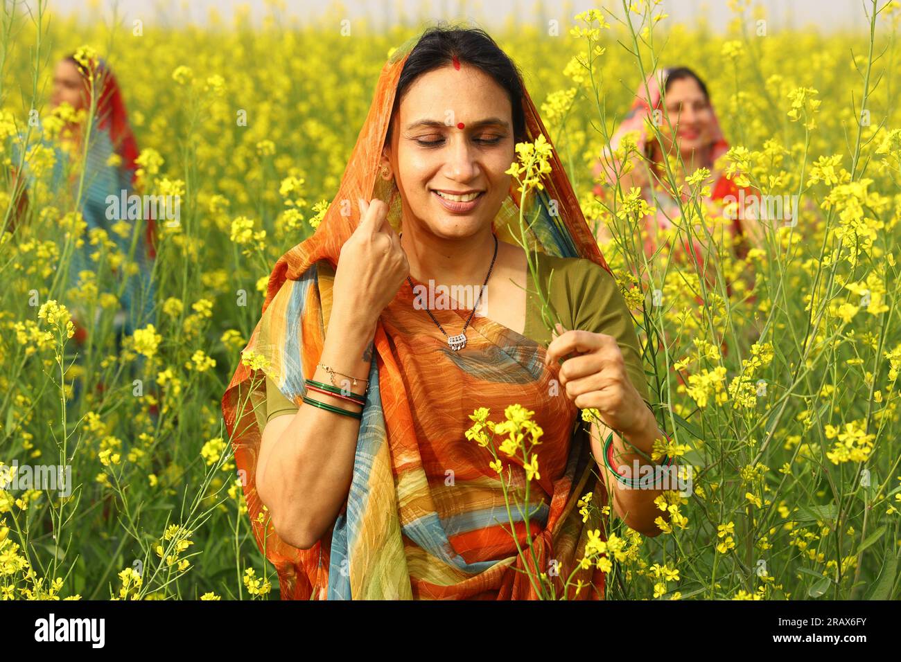 Happy rural Indian women standing in a mustard field enjoying the benefits of the mustard agricultural field. Stock Photo