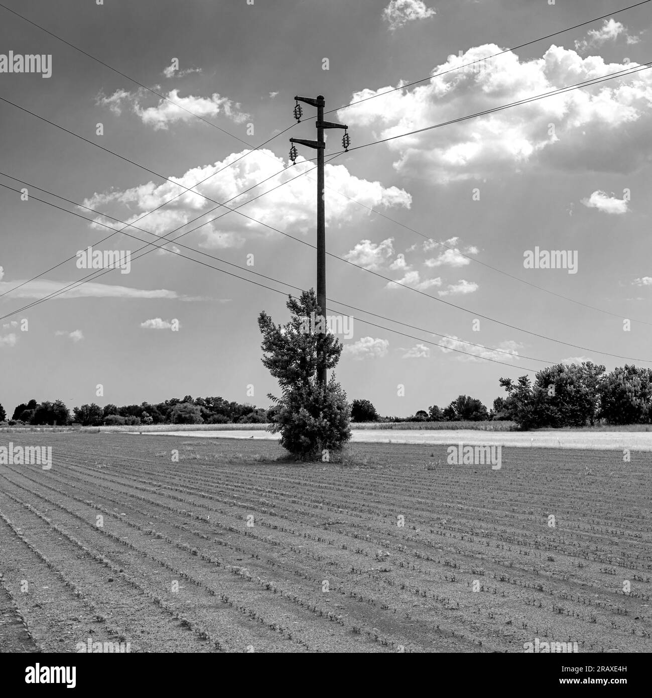 black and white image of an electricity pylon in the middle of a cultivated field Stock Photo