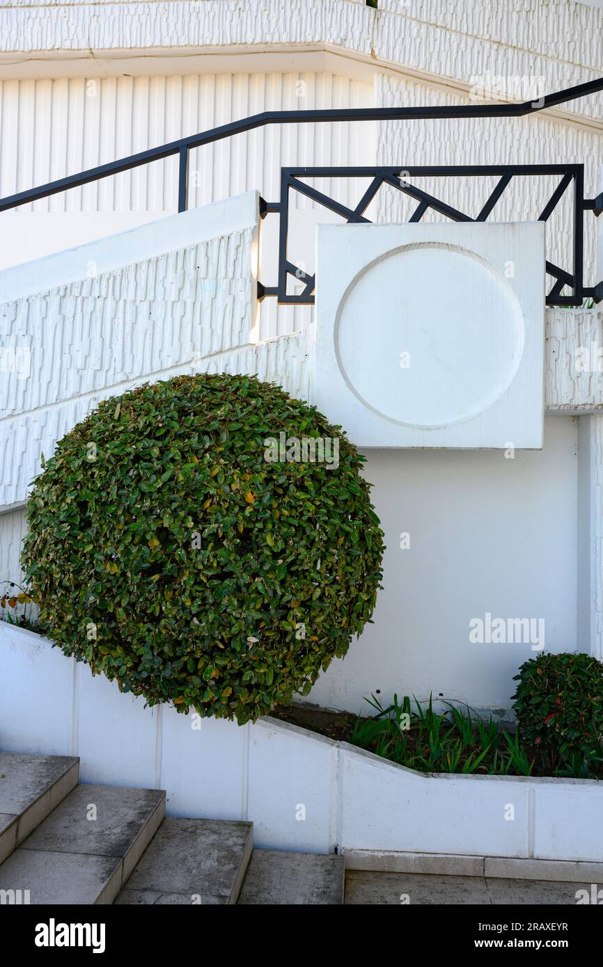 A large bush in the shape of a ball in a geometric pattern of light ...