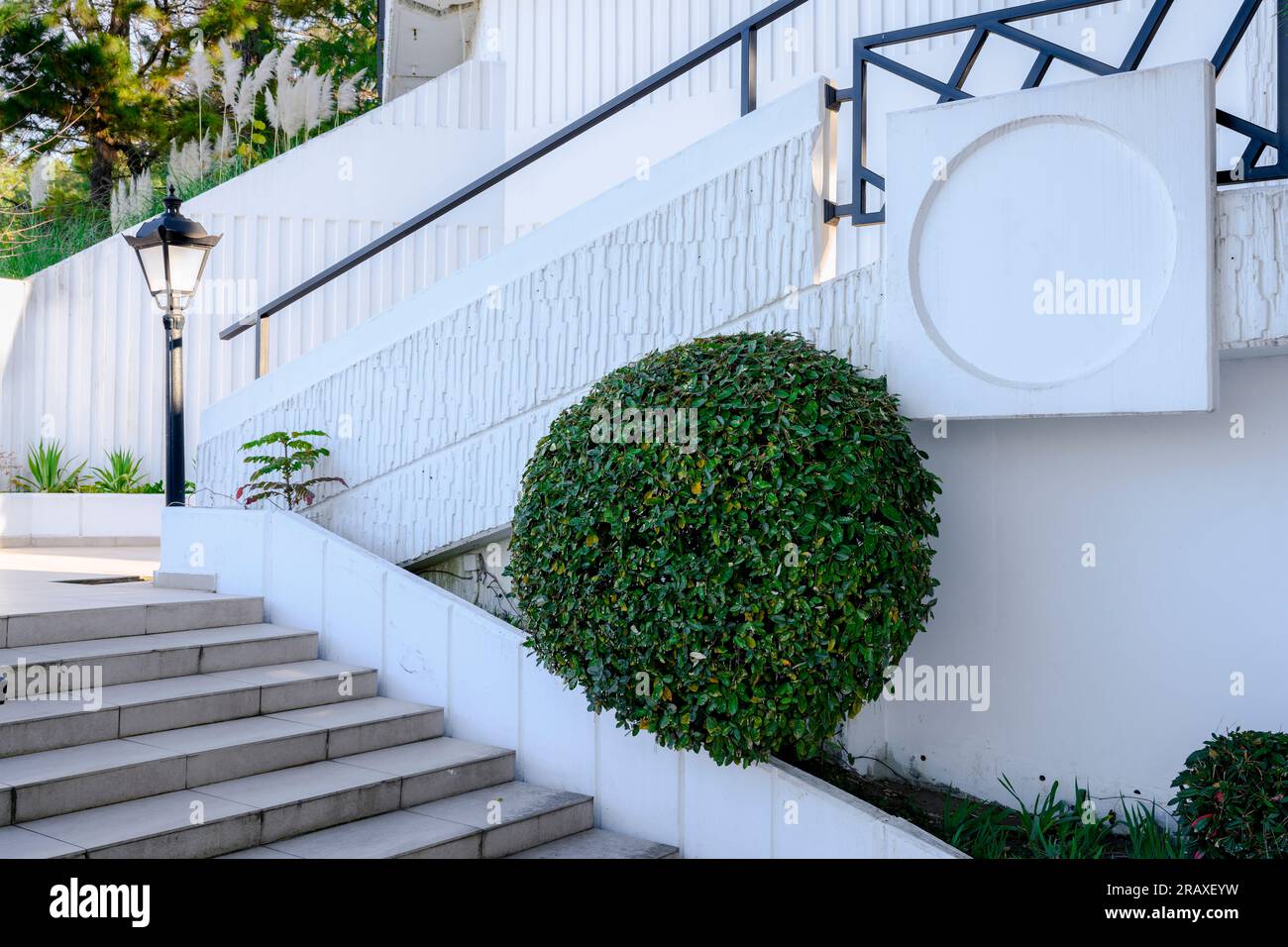 A large bush in the shape of a ball in a geometric pattern of light ...