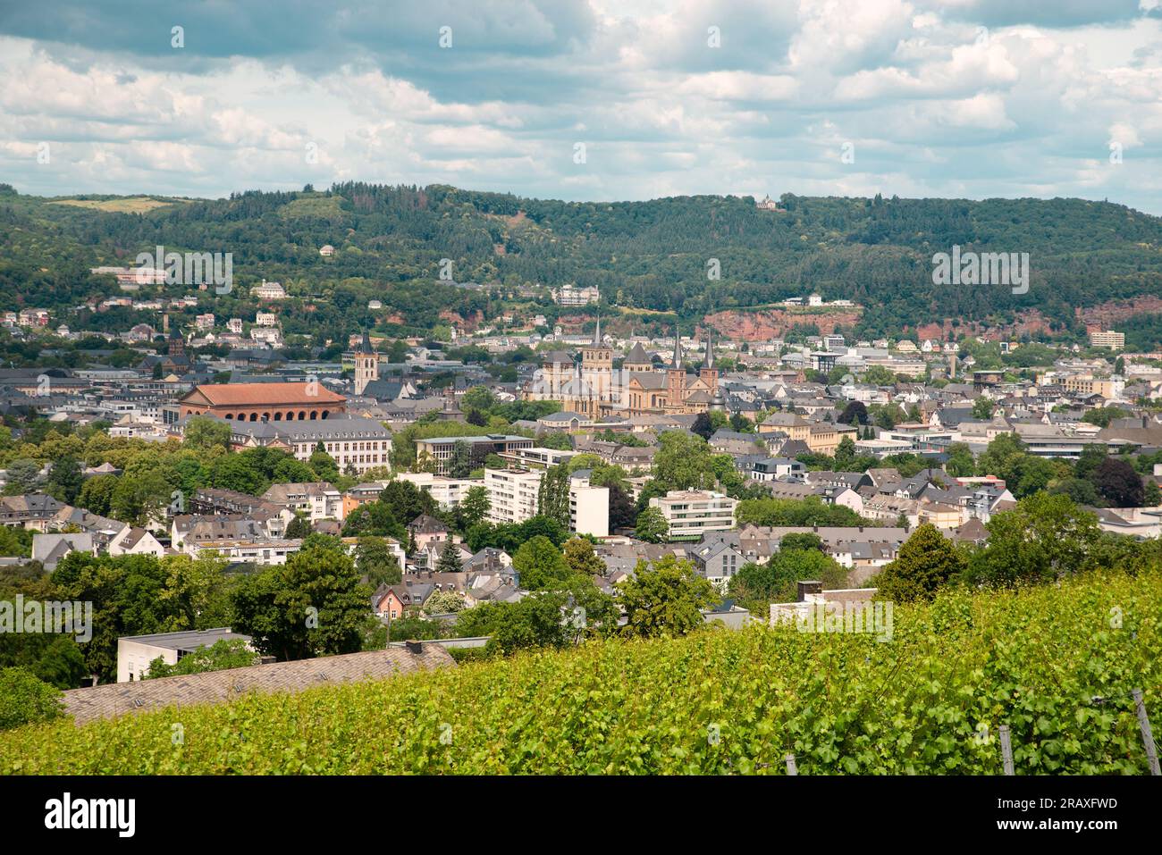 Vineyard with view of the ancient roman city of Trier, the Moselle Valley in Germany, landscape in rhineland palatine Stock Photo