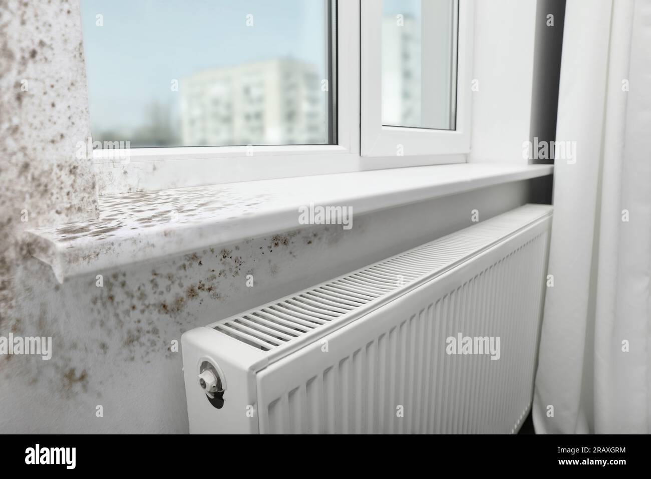 Window sill and slope affected with mold in room Stock Photo Alamy