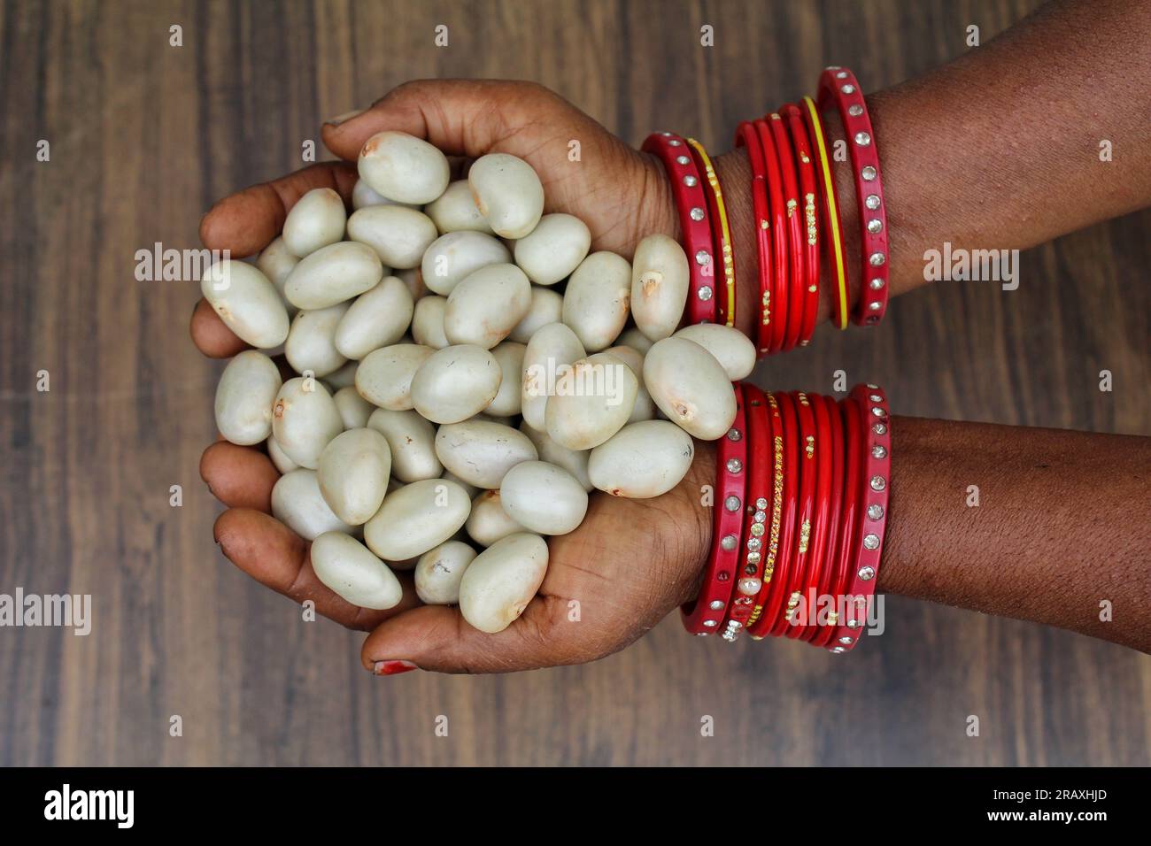 Holding some Jackfruit seeds in a hand top view Stock Photo