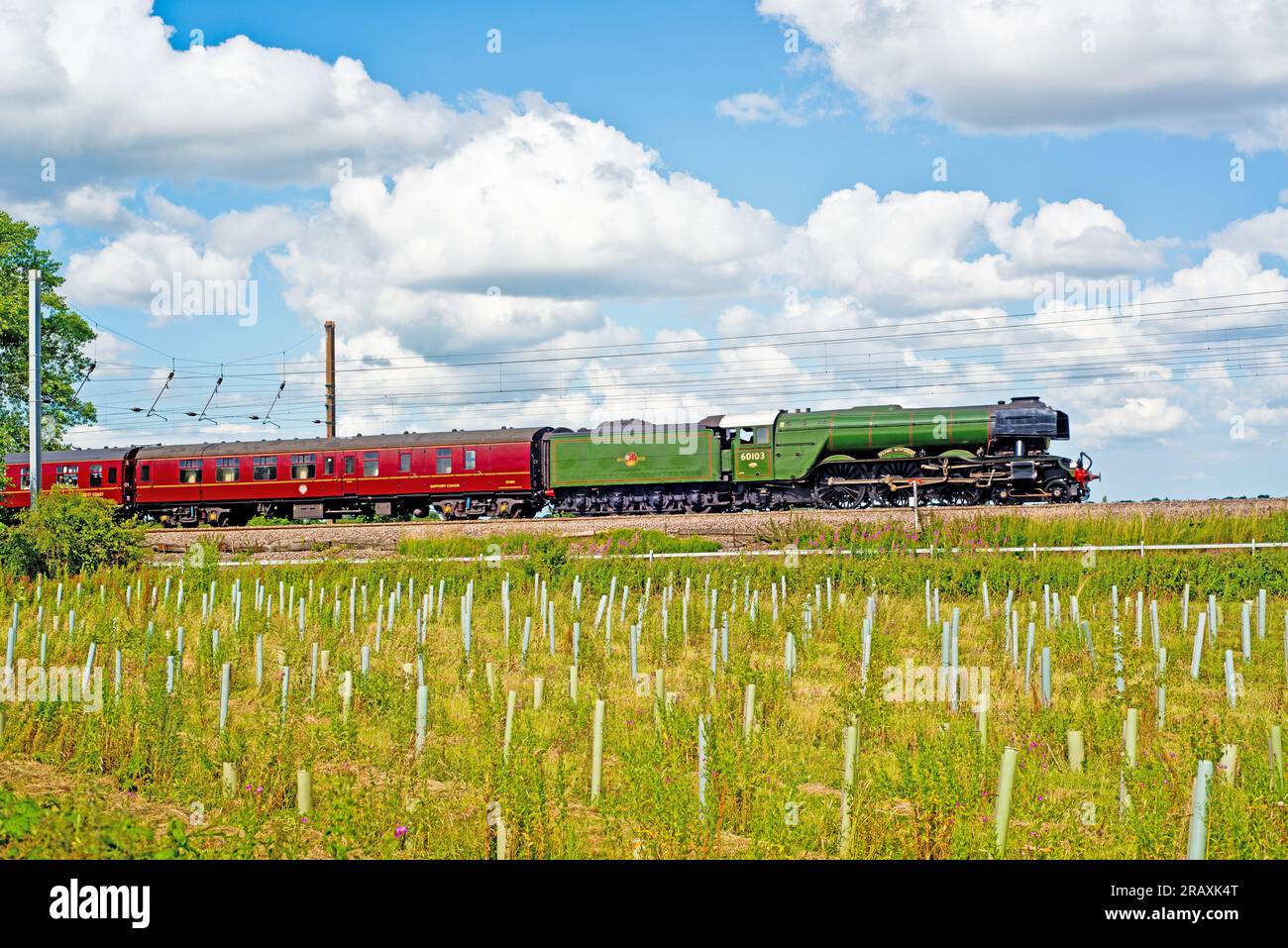 A3 Pacific no 60103 Flying Scotsman, Shipton by Beningborough, North Yorkshire, England, 4th July 2023 Stock Photo