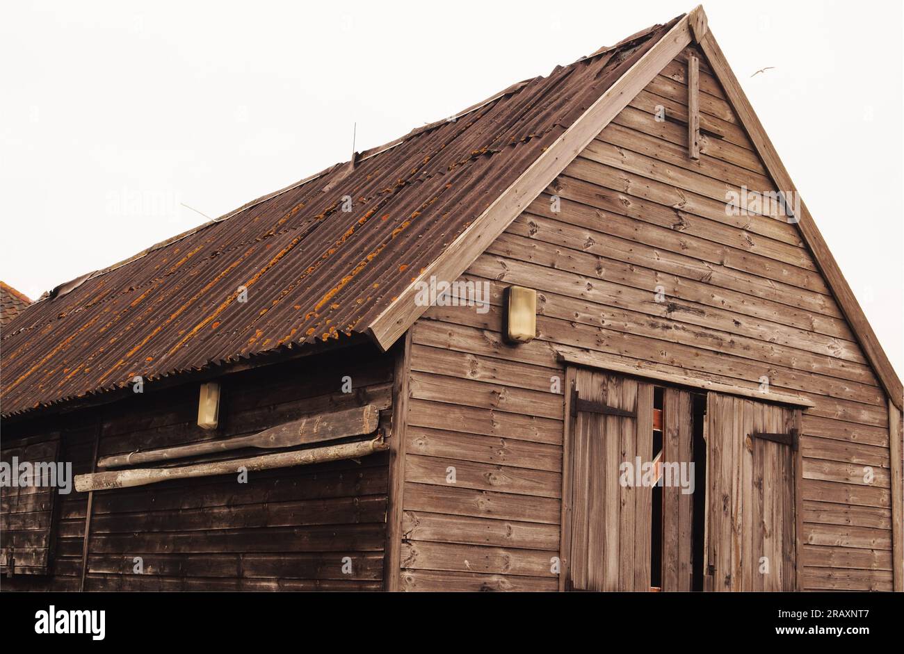 A pair of long, old, wooden oars for a sea rowing boat, hung on the side of a large timber shed with a corrugated iron roof at Aldeburgh, Sukkolk. UK Stock Photo