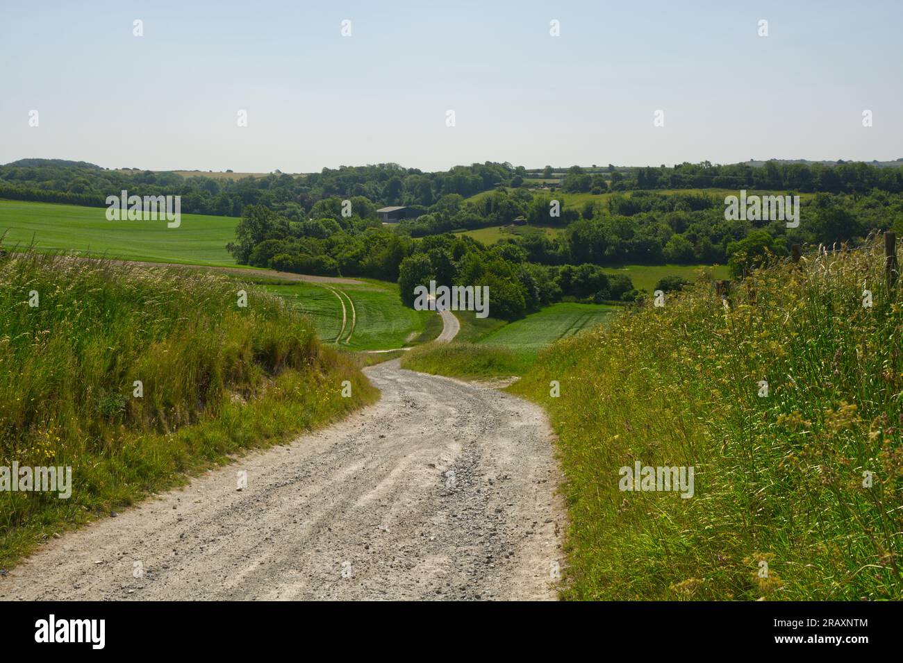 Rough track through the South Downs countryside near Worthing in West Sussex, England Stock Photo