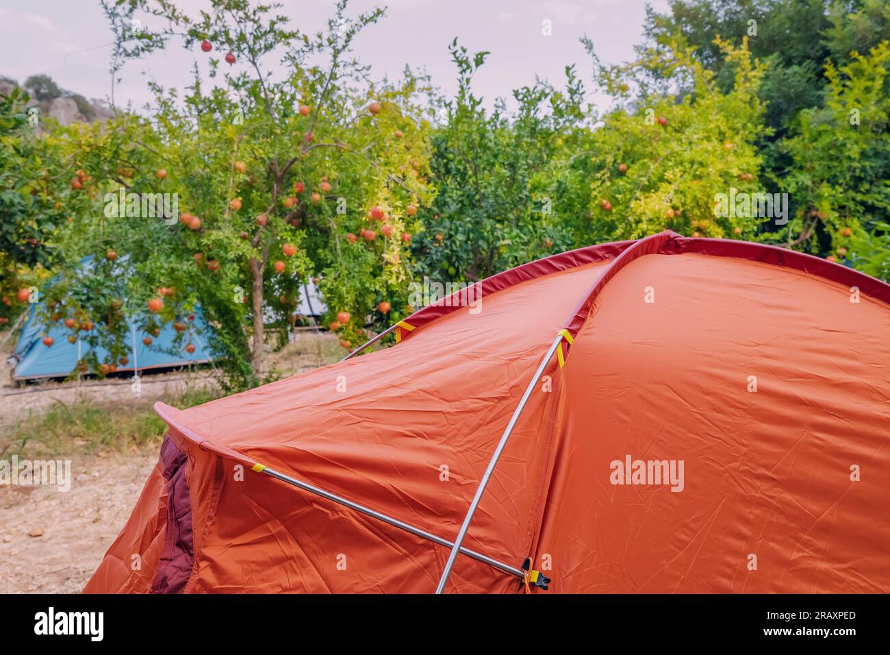 Red camping tent in garden. Travel outdoor recreation and rest in