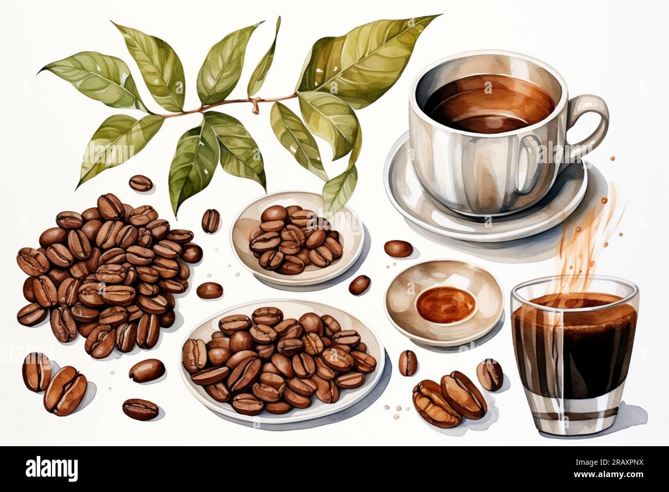 Coffee Watercolor on white background. Watercolor painting daily ...