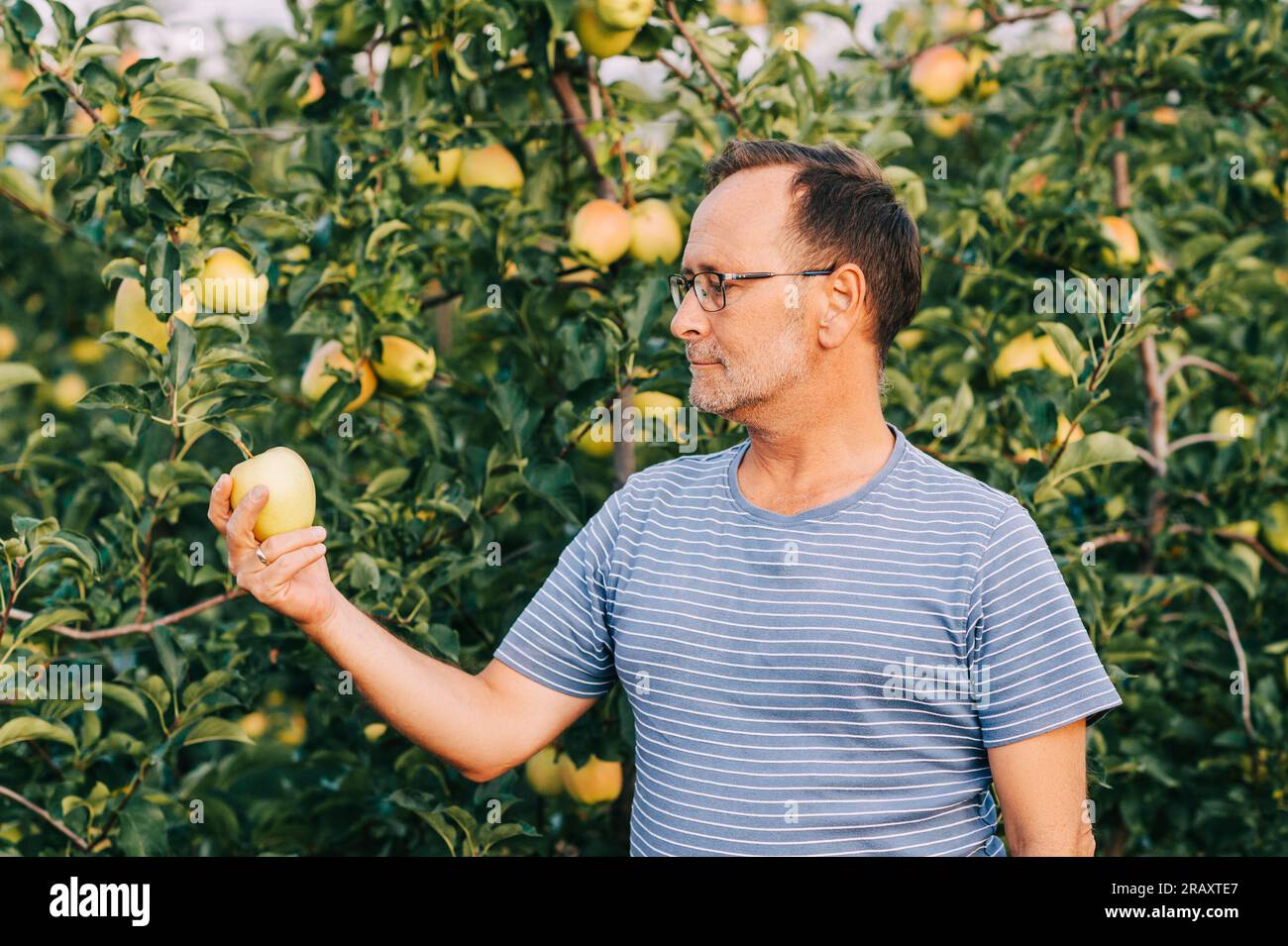 Man farmer posing in apple orchard, wearing stripe tshirt and glasses