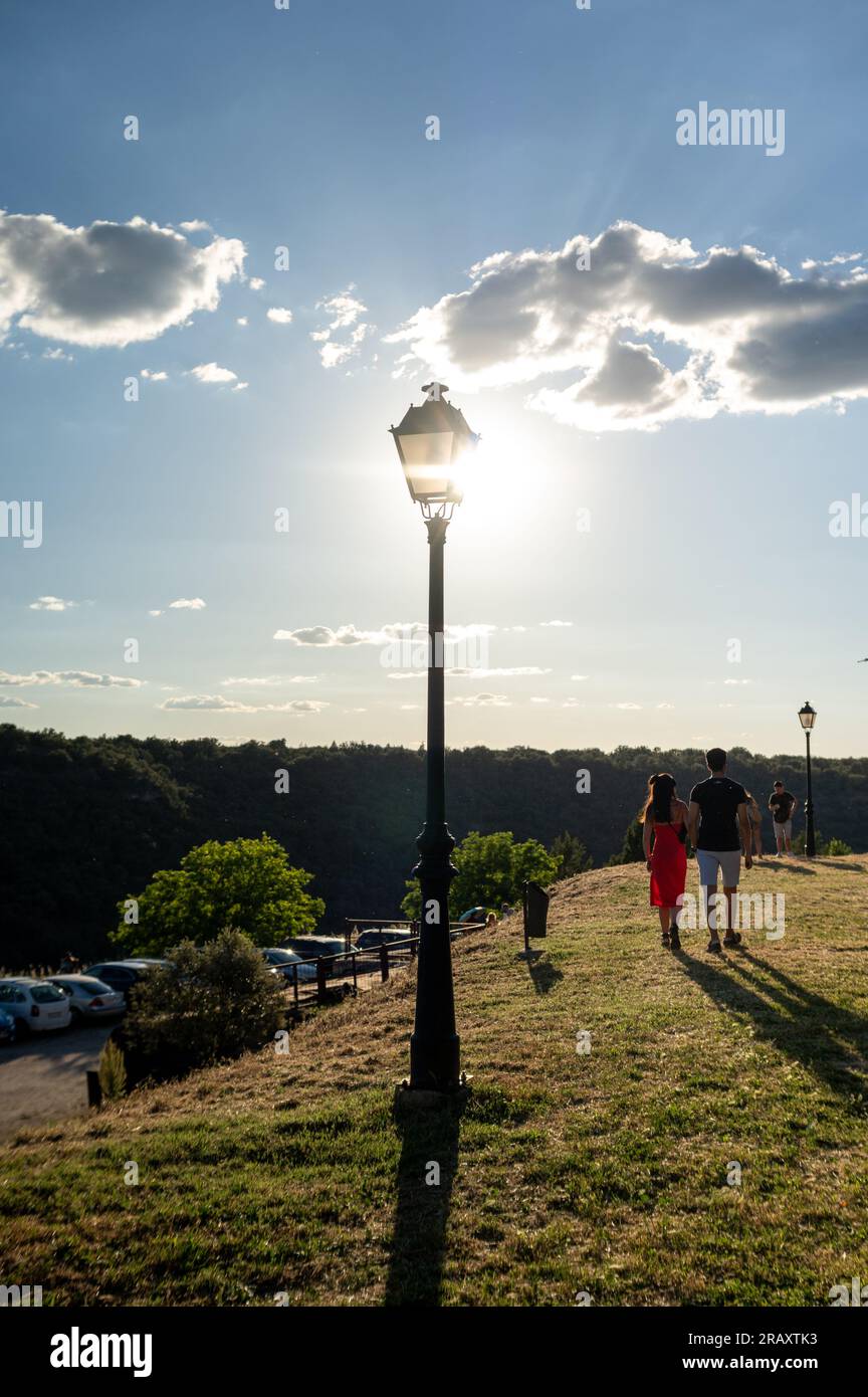 Sunlit Forest Path with Group of People Surrounded by Lush Greenery and ...