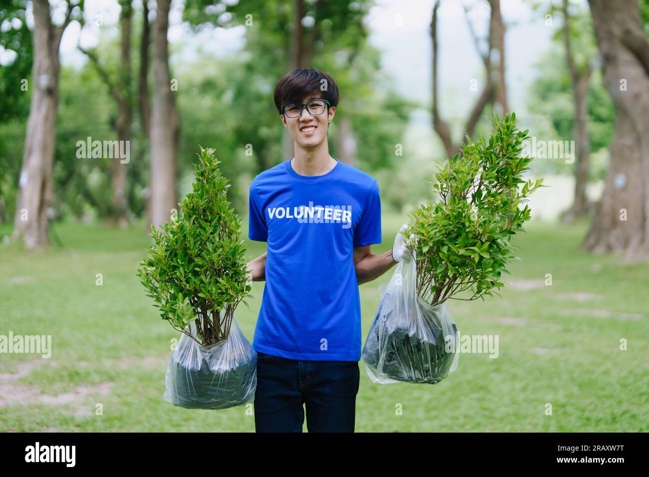 Volunteers of various nationalities are showing solidarity by sacrificing their personal time by planting trees to restore nature to reduce carbon Stock Photo