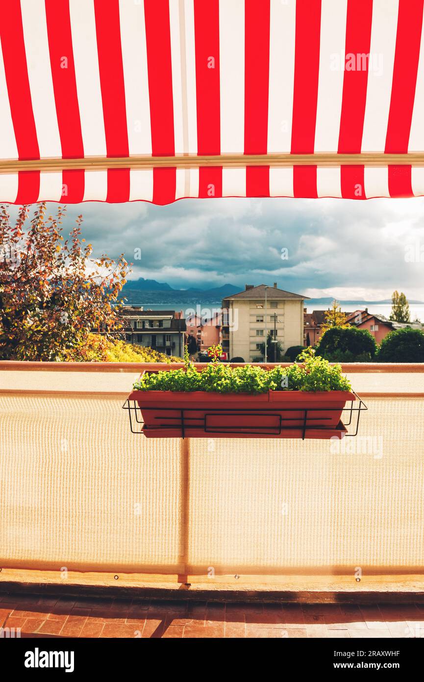 Bright and cozy balcony with many potted plants Stock Photo