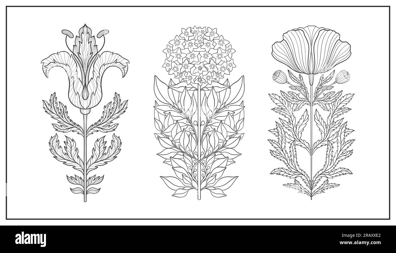 Floral flower in art nouveau 19201930. Hand drawn tulip in a linear