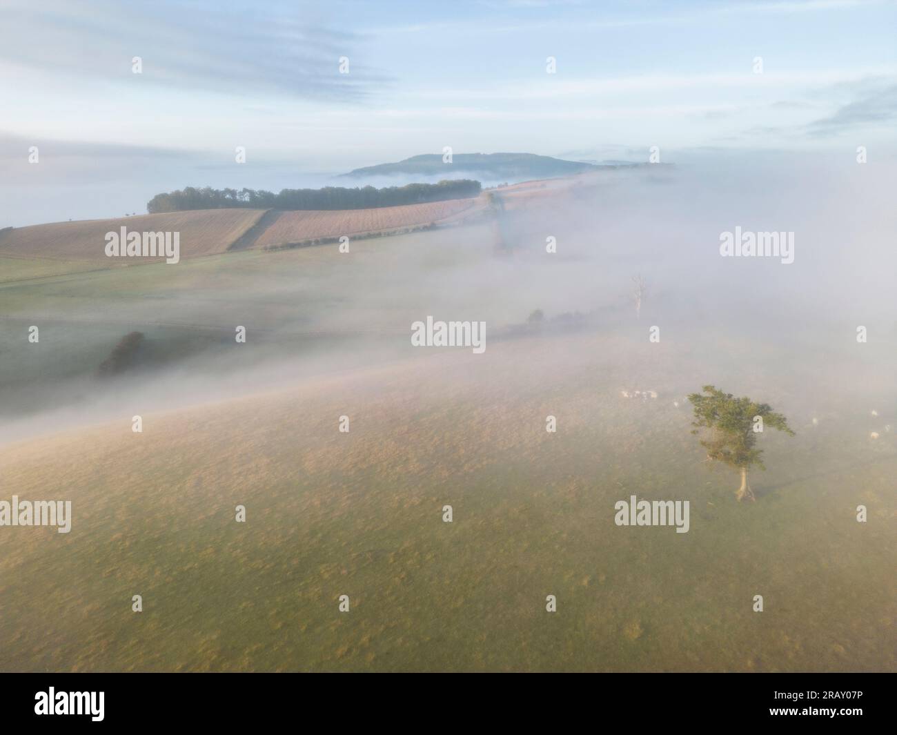 Autumn mist covers the hills and valleys near Aston on Clun, Craven Arms, South Shropshire, England, UK Stock Photo
