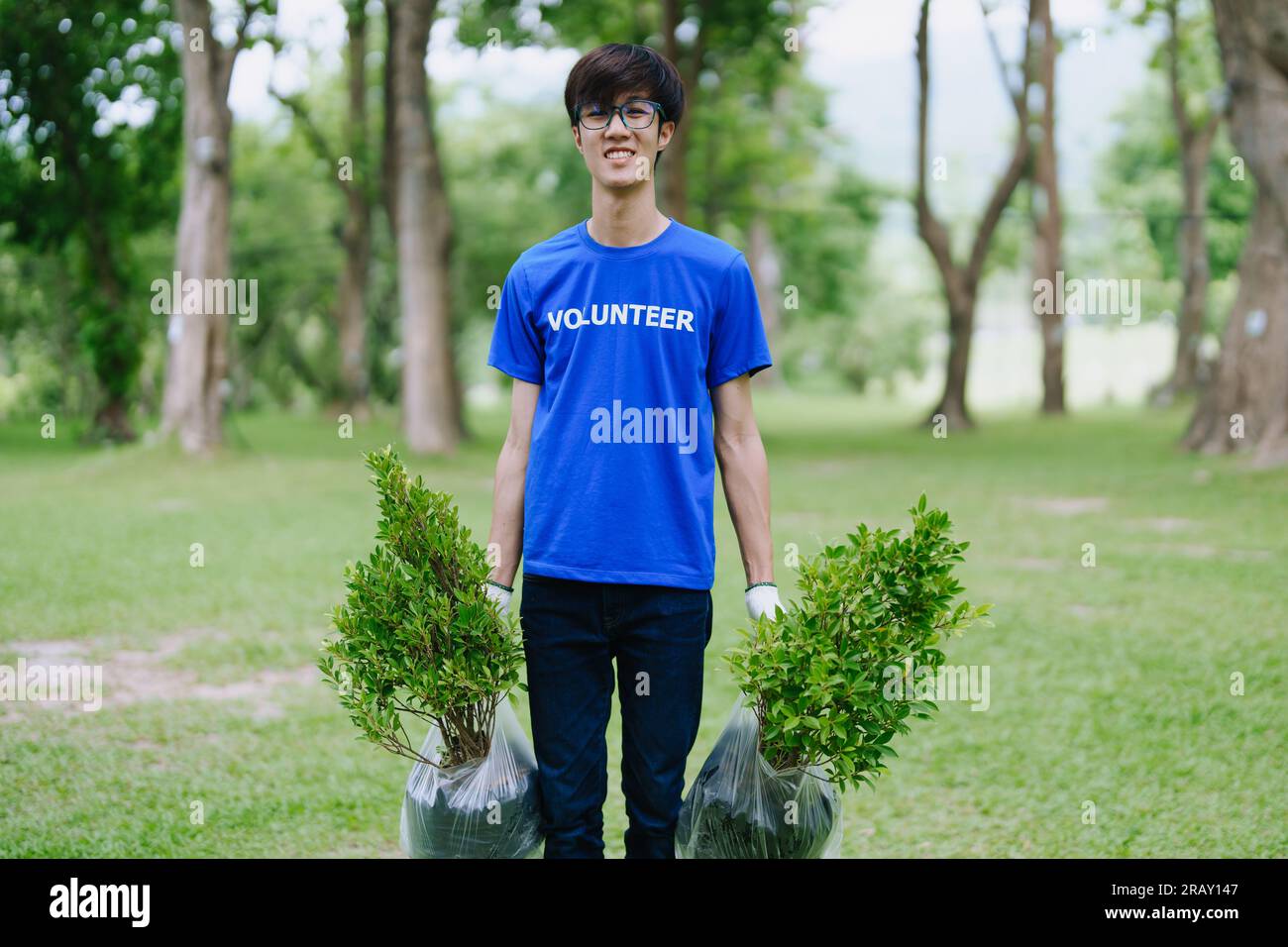 Volunteers of various nationalities are showing solidarity by sacrificing their personal time by planting trees to restore nature to reduce carbon Stock Photo