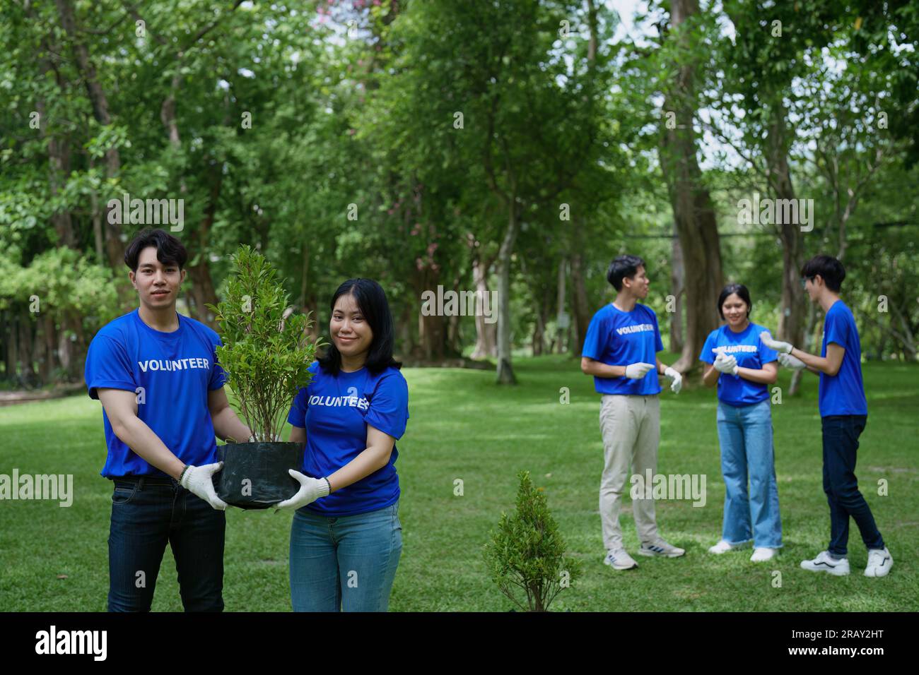 Volunteers of various nationalities are showing solidarity by sacrificing their personal time by planting trees to restore nature to reduce carbon Stock Photo