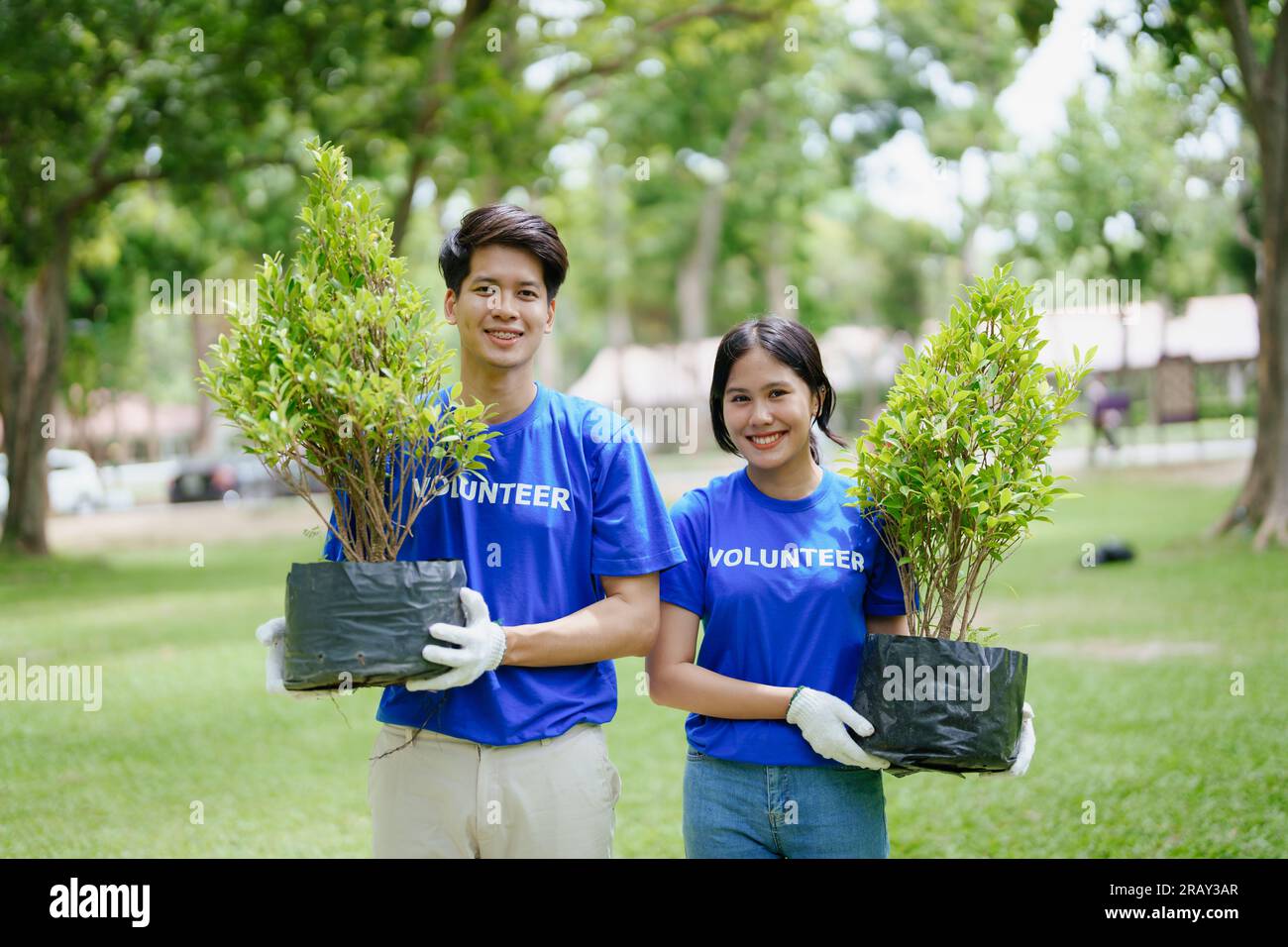 Volunteers of various nationalities are showing solidarity by sacrificing their personal time by planting trees to restore nature to reduce carbon Stock Photo