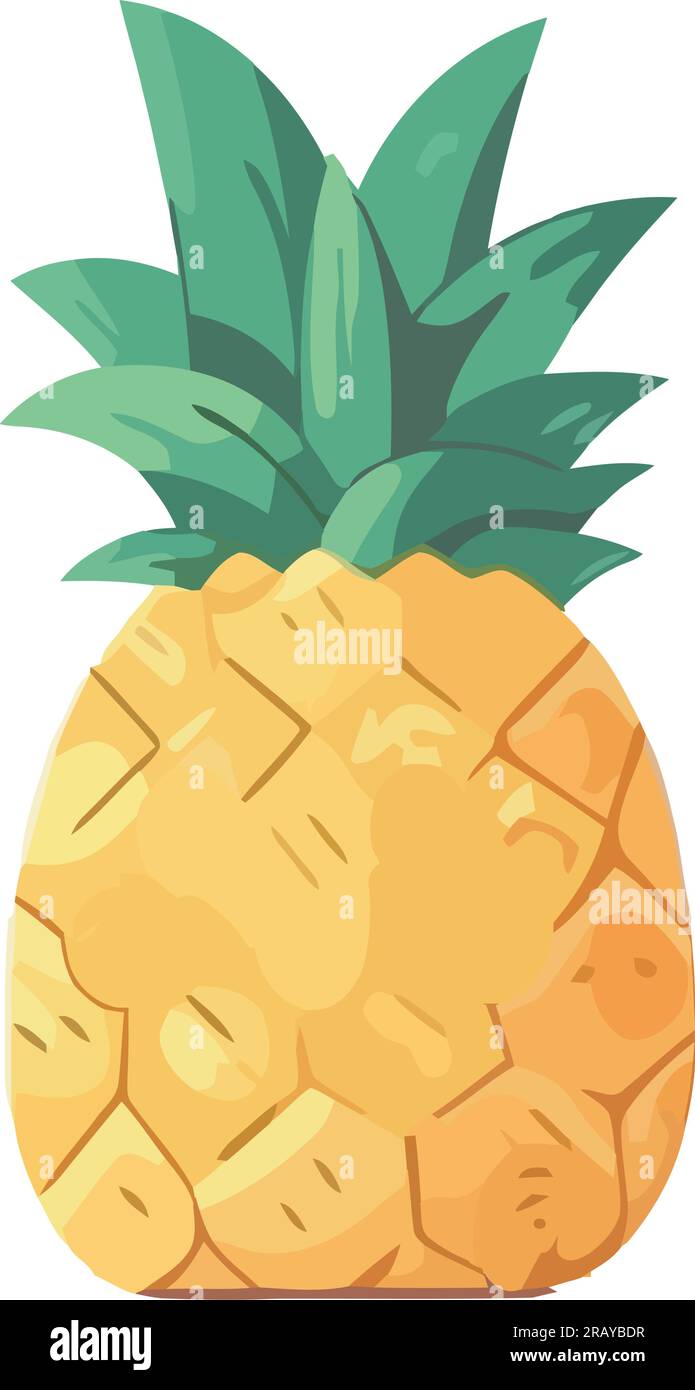 Fresh pineapple, fruit eating and tropical refreshment Stock Vector ...
