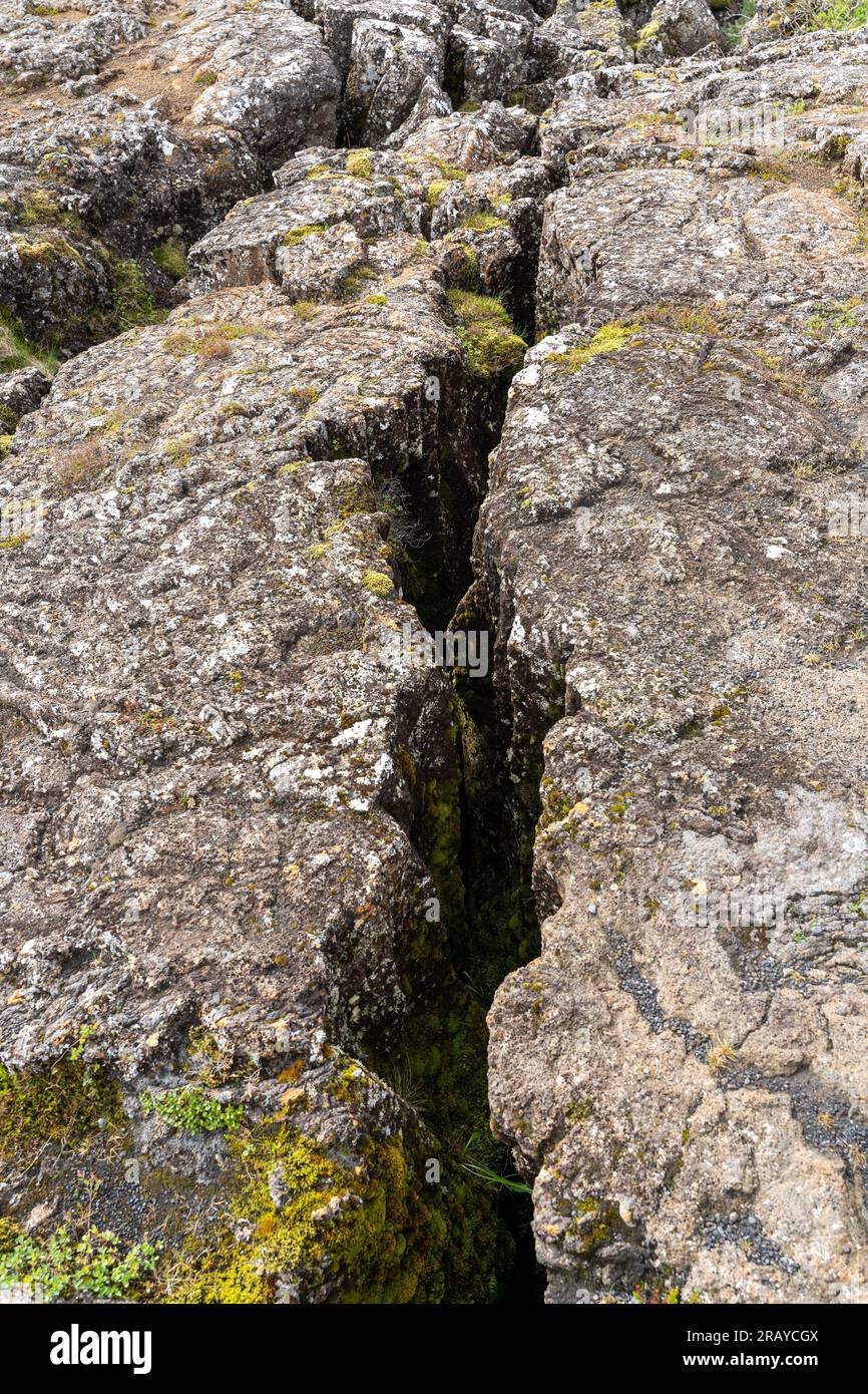 Crack in rocks at Thingvellir rift valley of the mid Atlantic ridge in Iceland Stock Photo