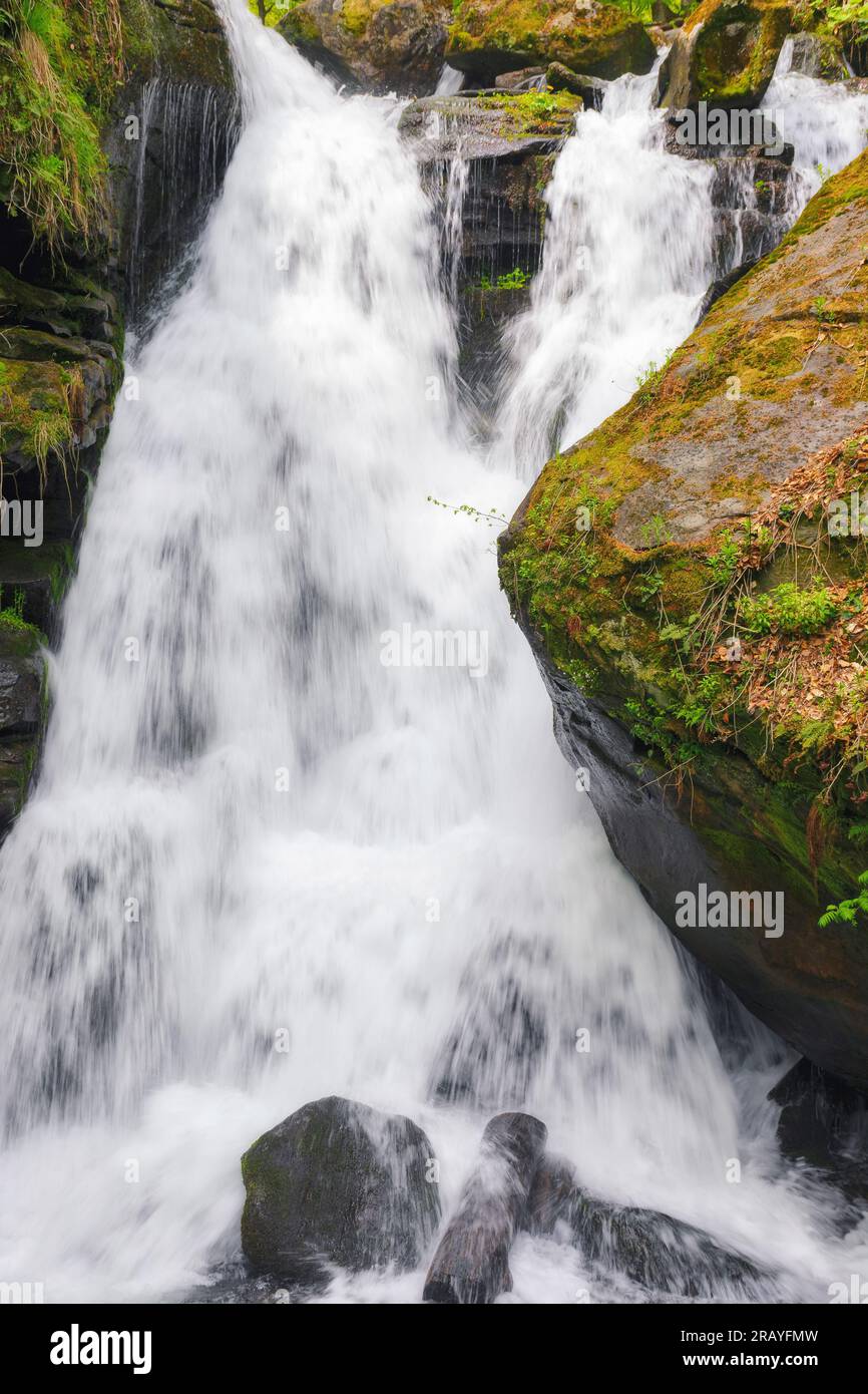 waterfall among the rocks. nature background in spring Stock Photo