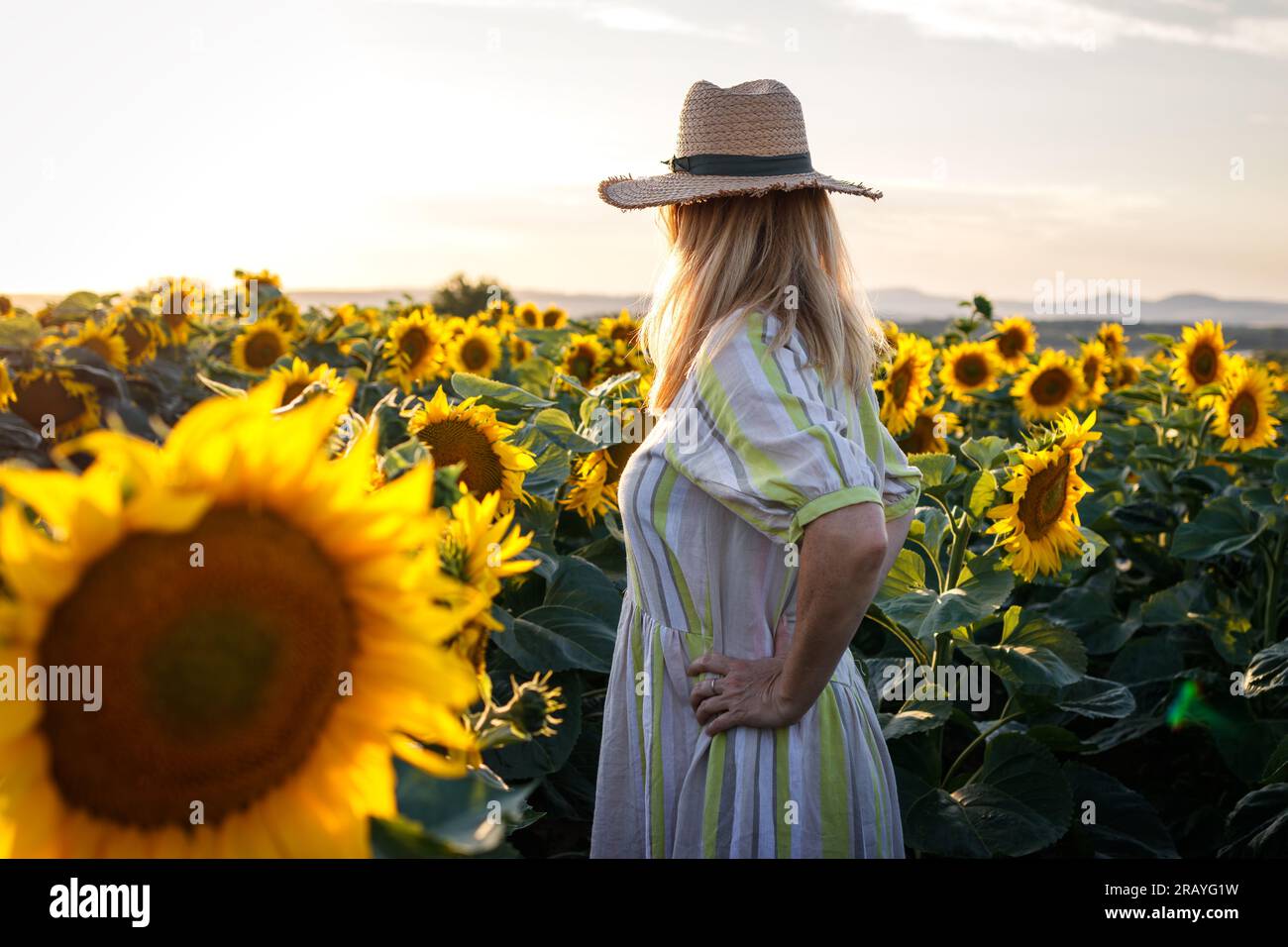 Woman wearing sunflower hat hi-res stock photography and images - Alamy