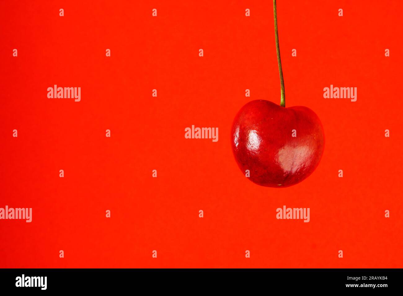 sweet cherry fruit isolated on orange background Stock Photo