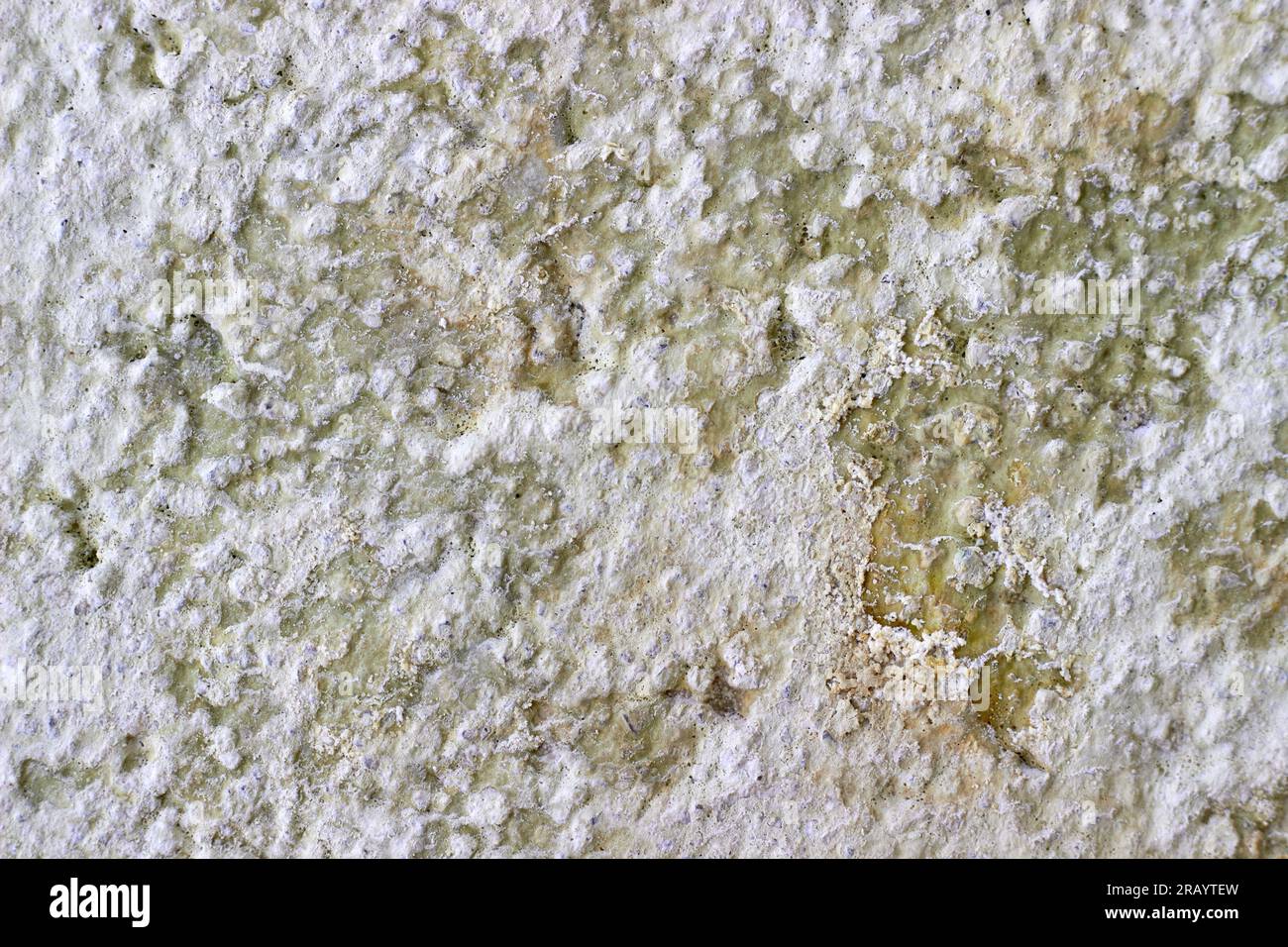 Infested plastered wall with layers of paint, fungus and mold. Close up