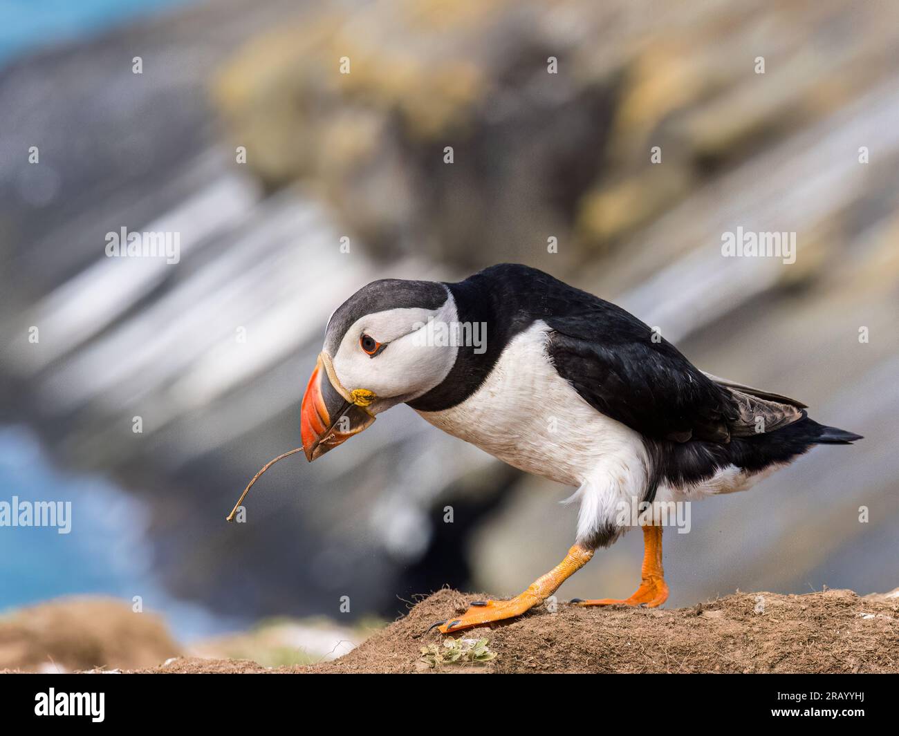 Visitor Information Center Map