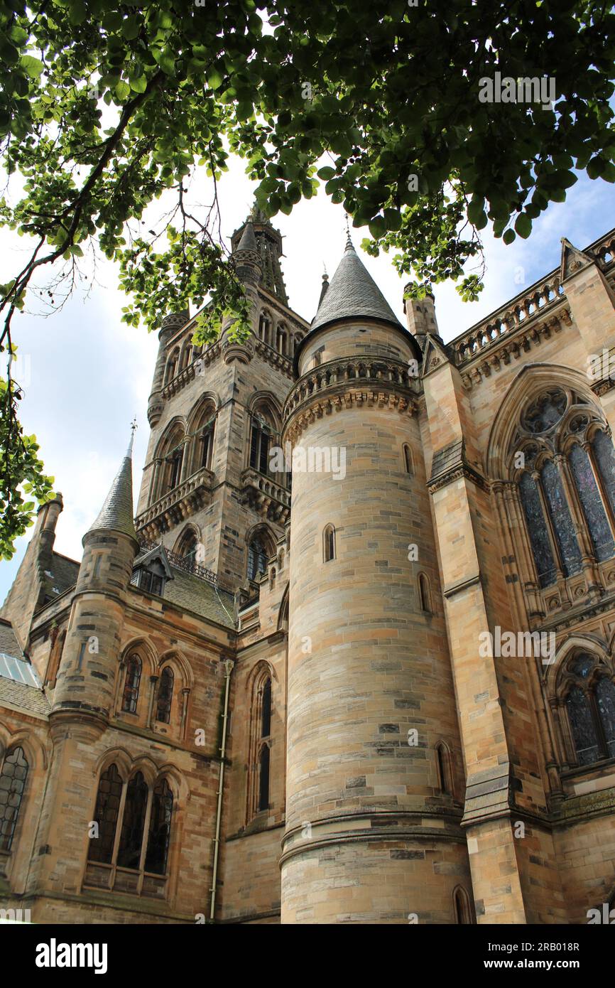 looking up at Glasgow university main historic buildings with a tree Stock Photo